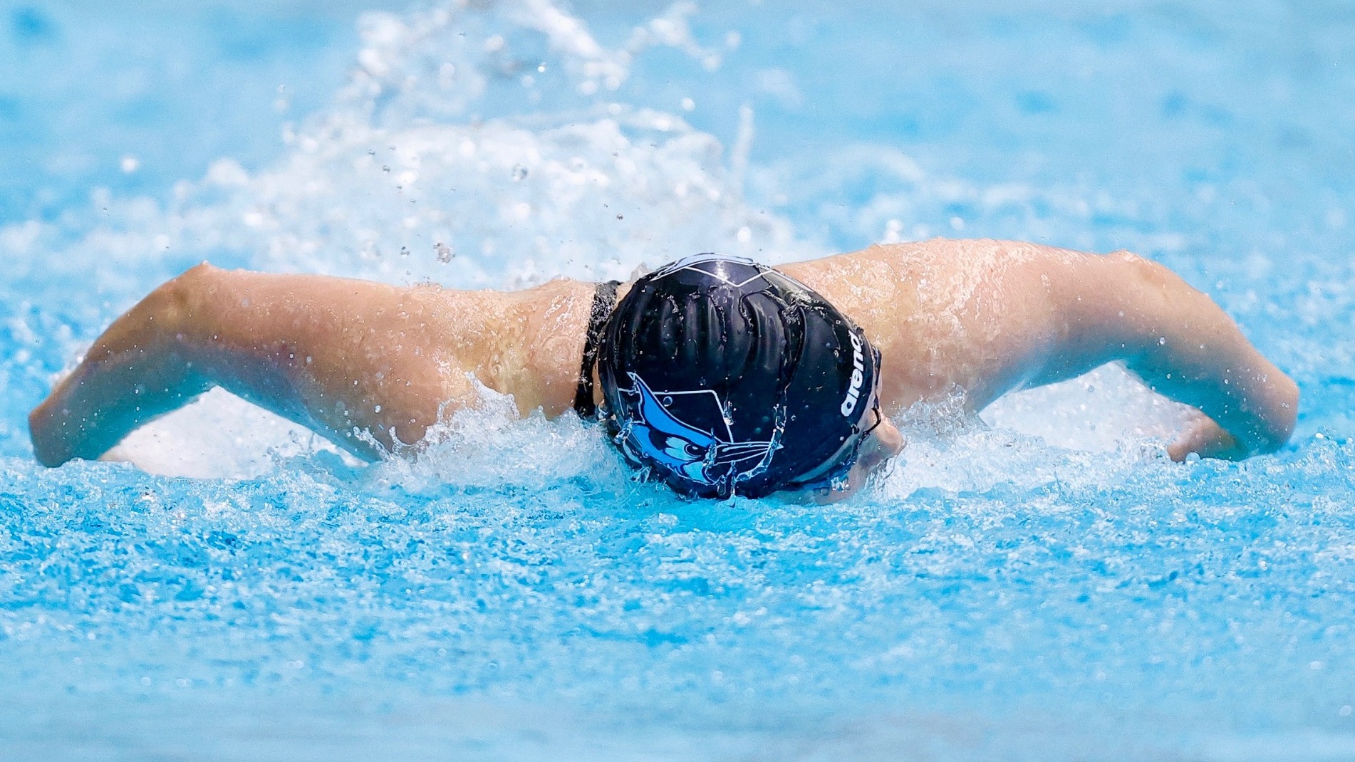 Ken Lee 100 Fly at NCAAs