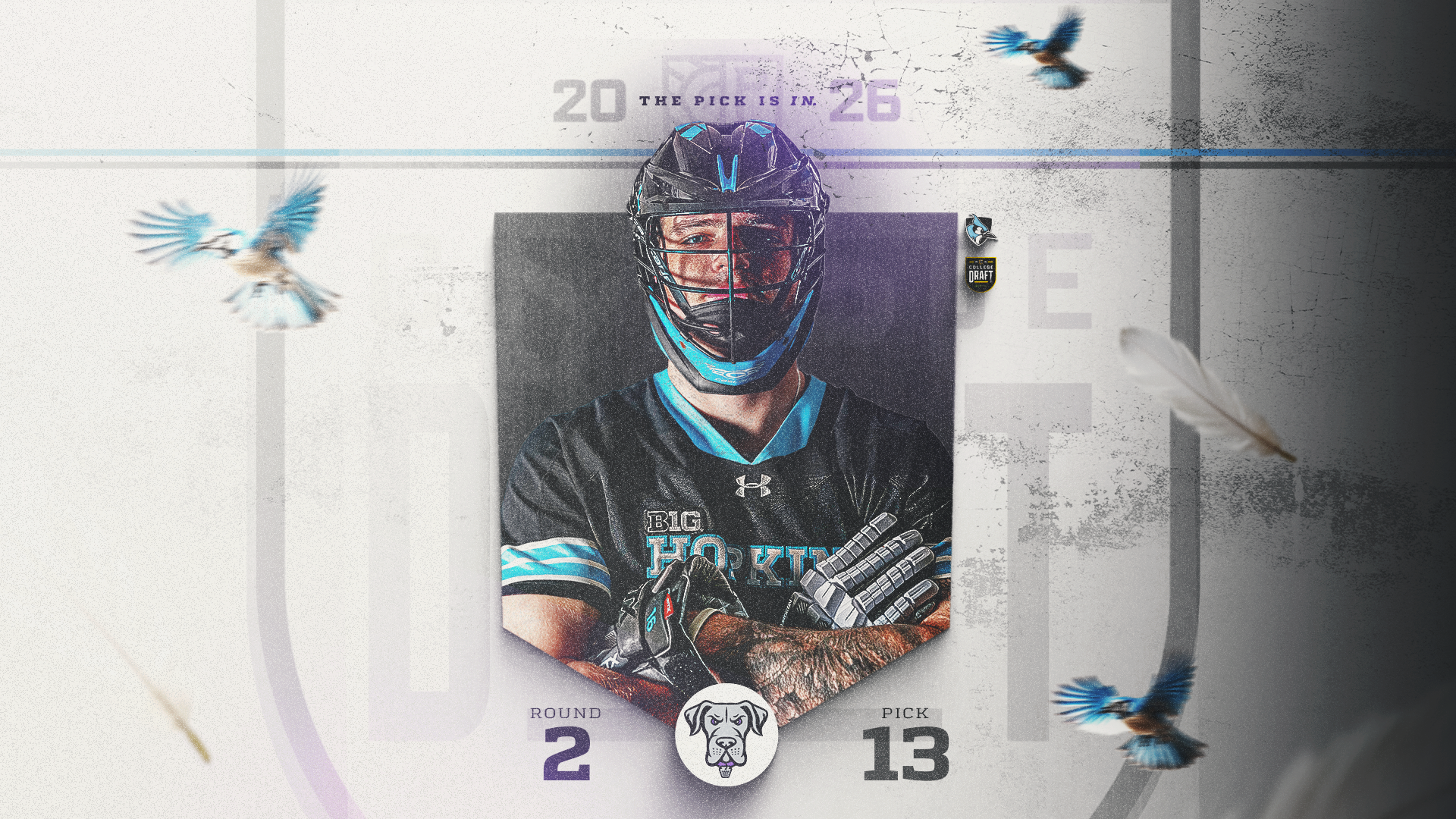 Collison PLL Draft Graphi