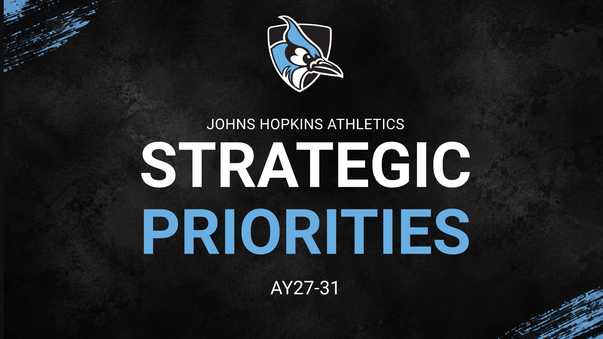 Strategic Priorities Graphic (2027-31)