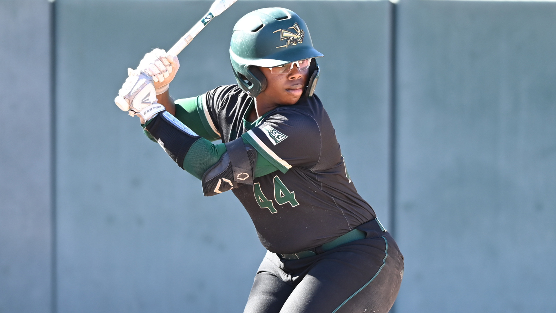 STRONG PITCHING AND PLENTY OF LEWA DAY LEAD SOFTBALL TO DOUBLEHEADER