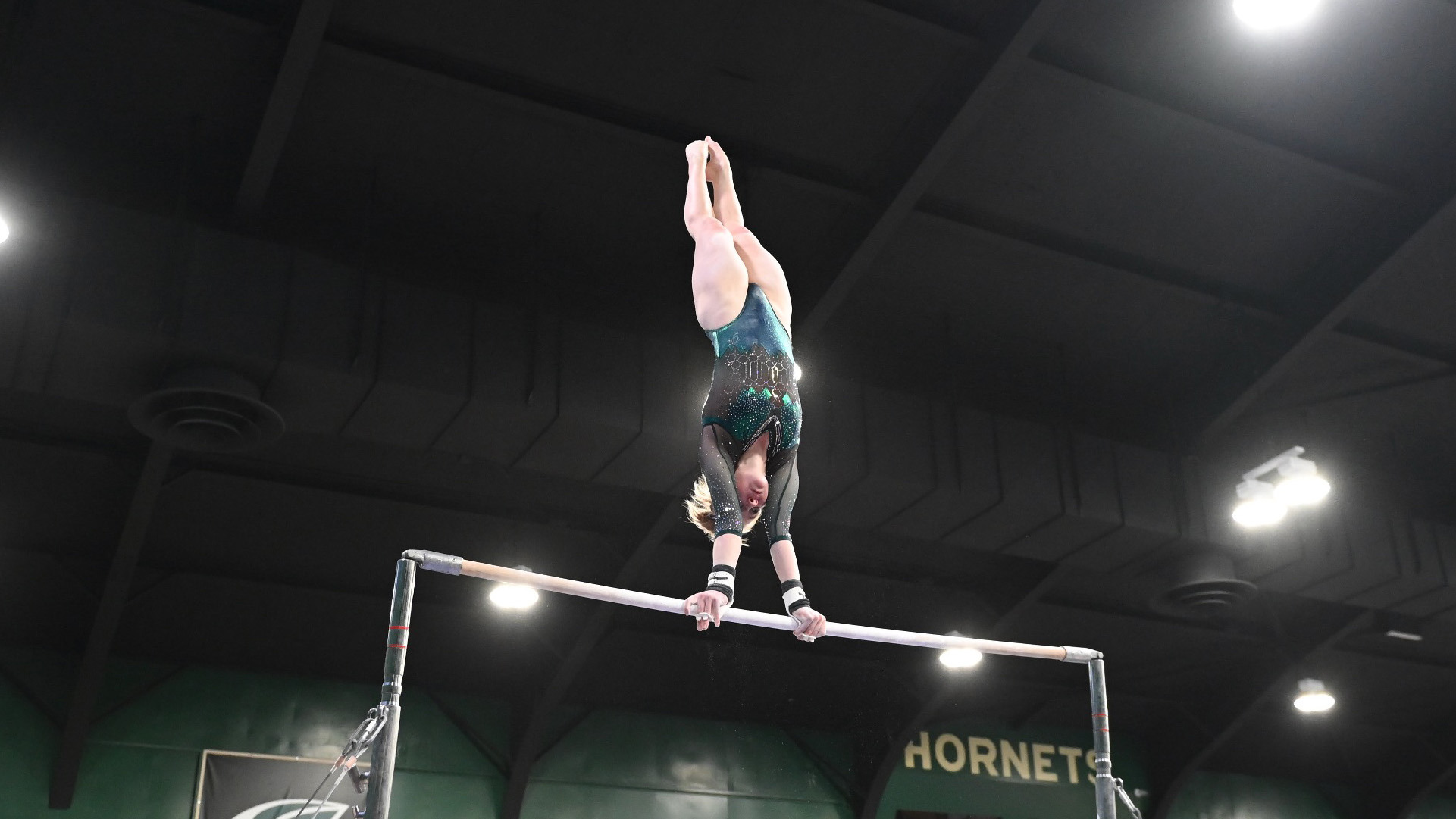 Sarah Fitzgerald 2024 Gymnastics Sacramento State