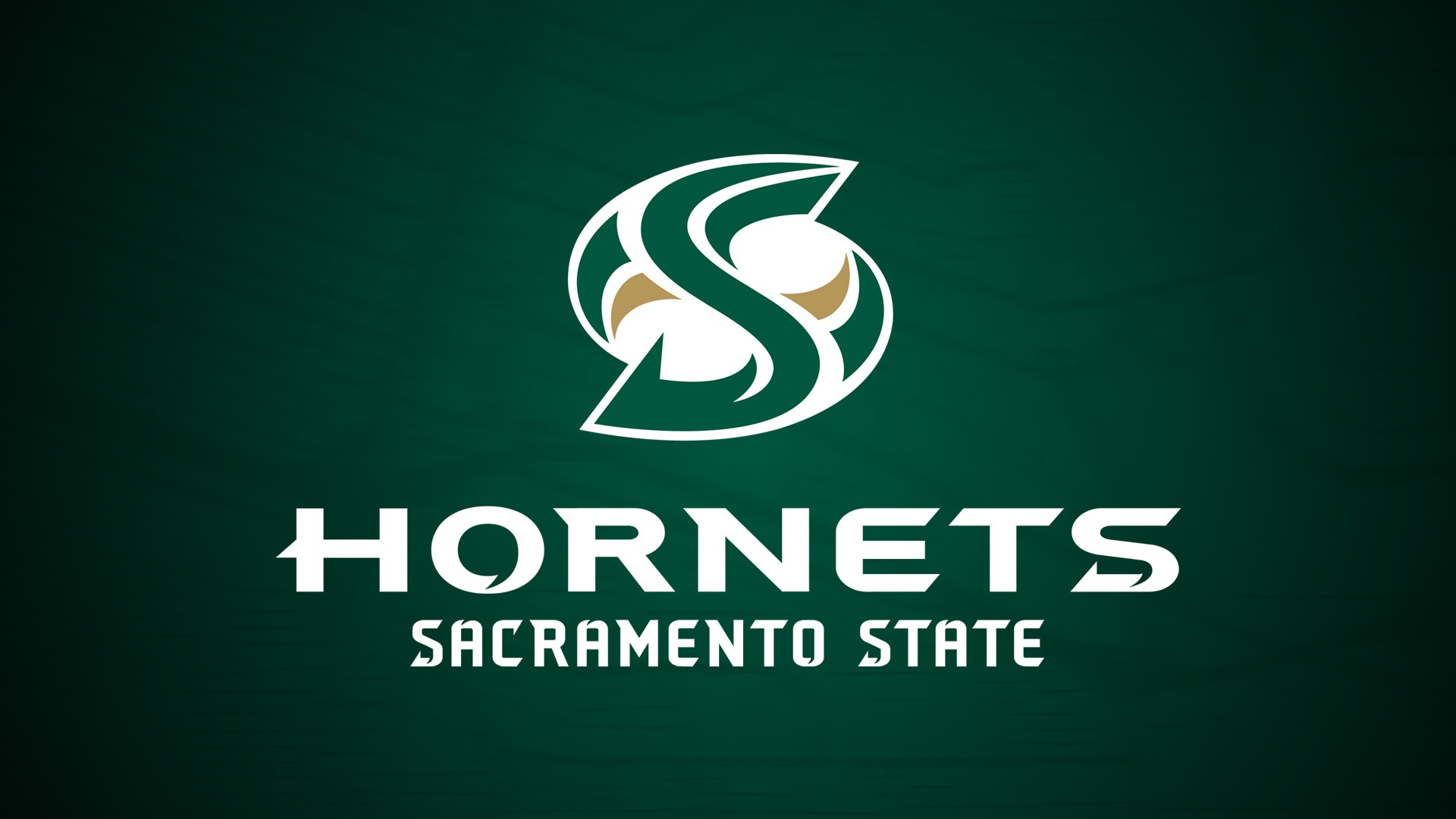 S Logo Header 2025-26