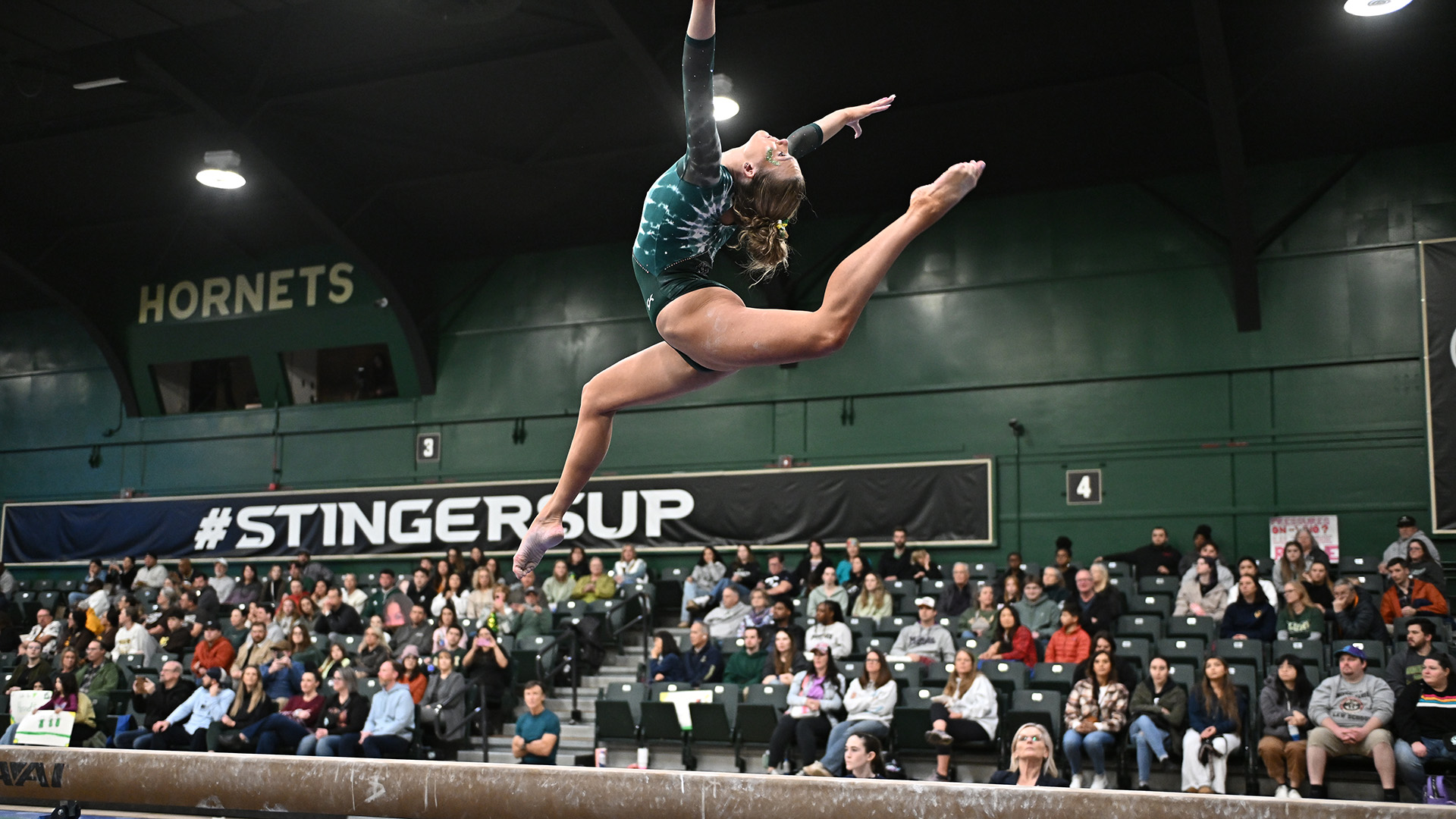 Lexi Frank - Beam - Quad 012326