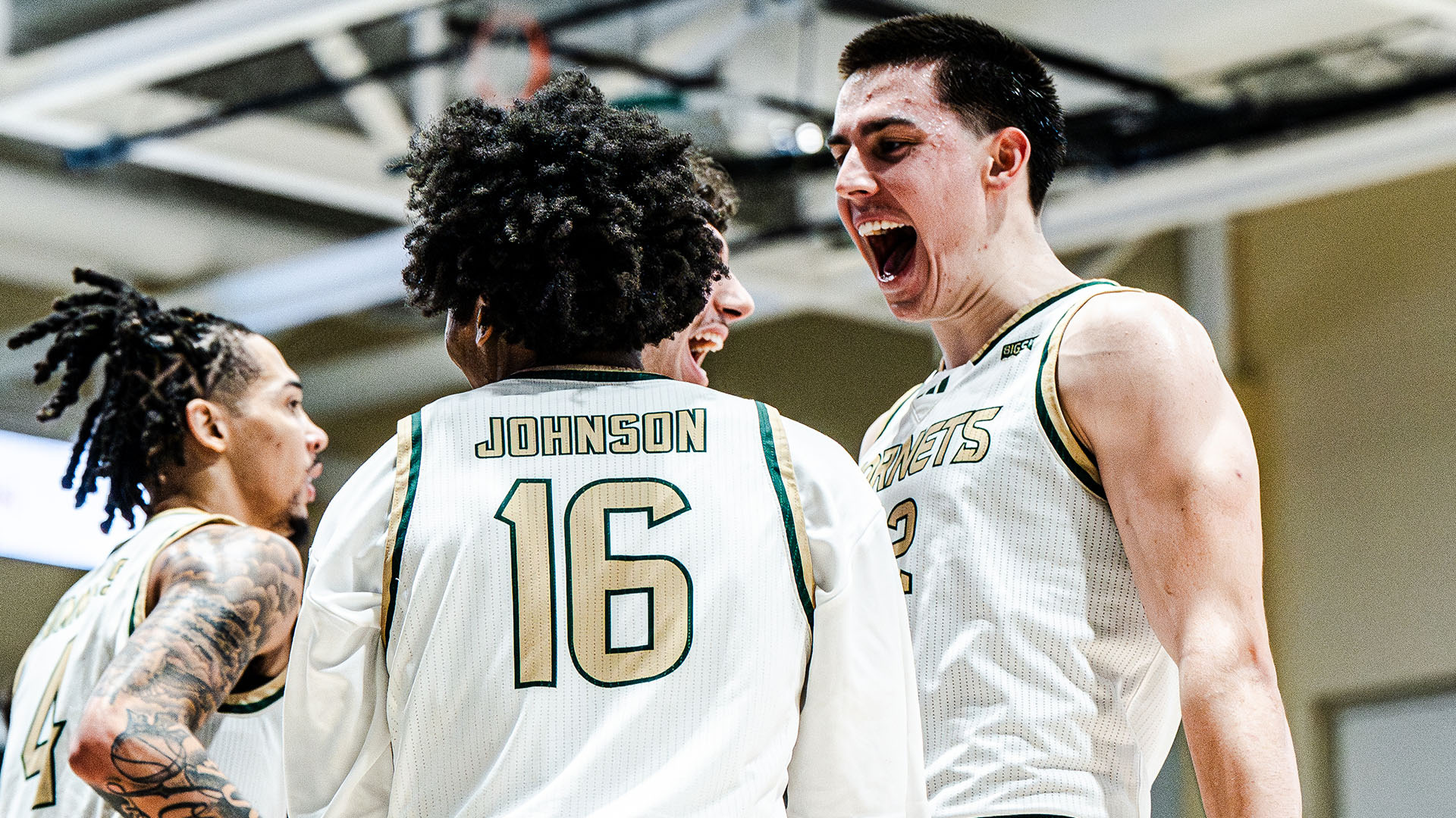 2526 Lavrevov celebrate