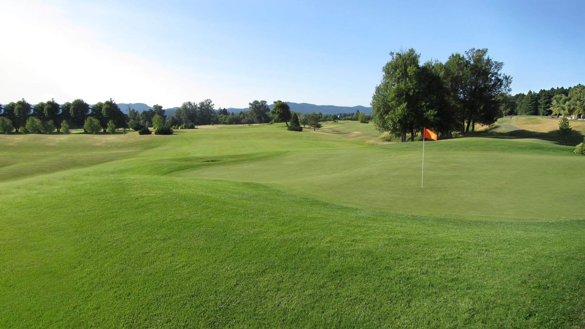 Photo of a green at Trysting Tree Golf Club