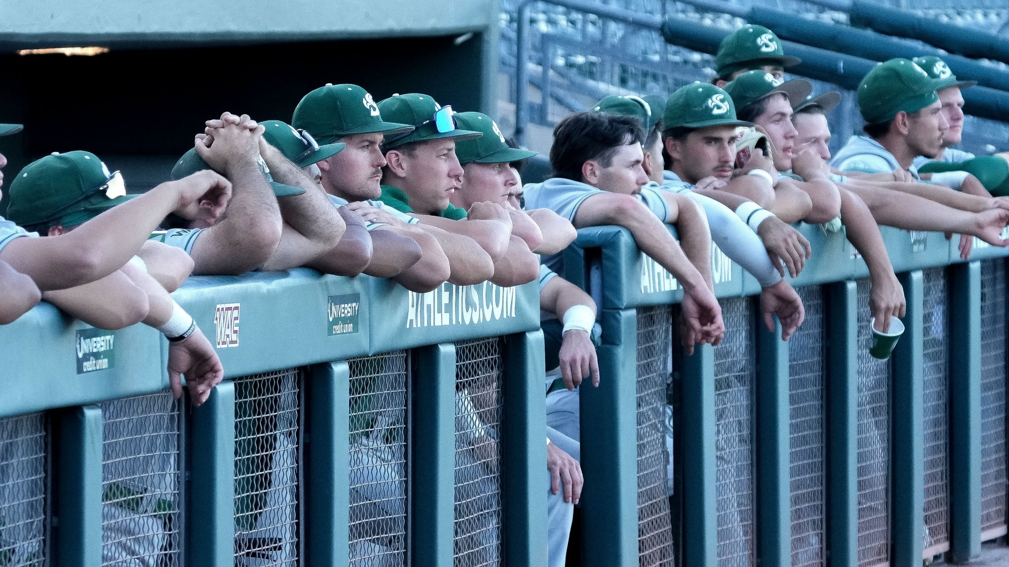 2026 BSB Hornet players hang on the dugout rail during their game against Tarleton State at the WAC Tournament in Mesa, Arizona