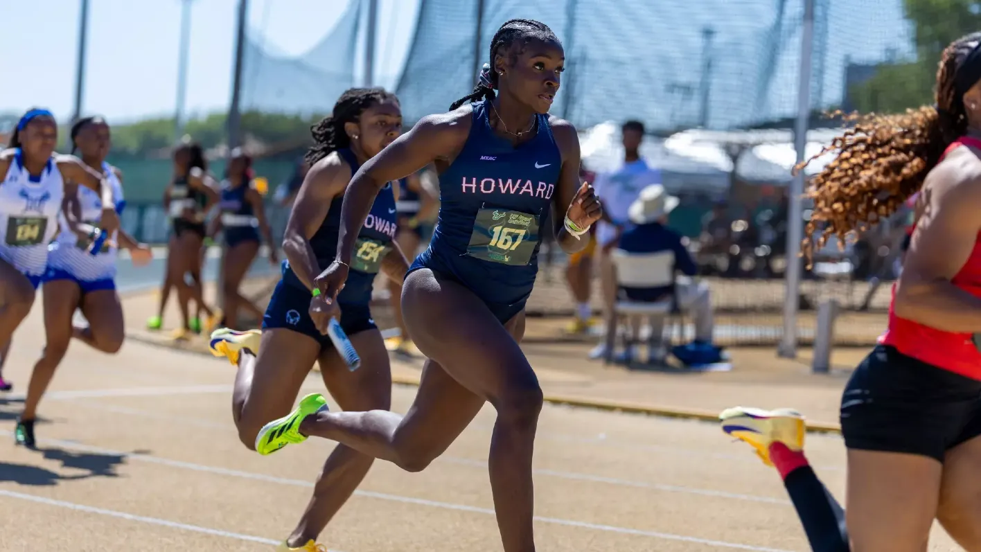 TF (USF Alumni Invite)