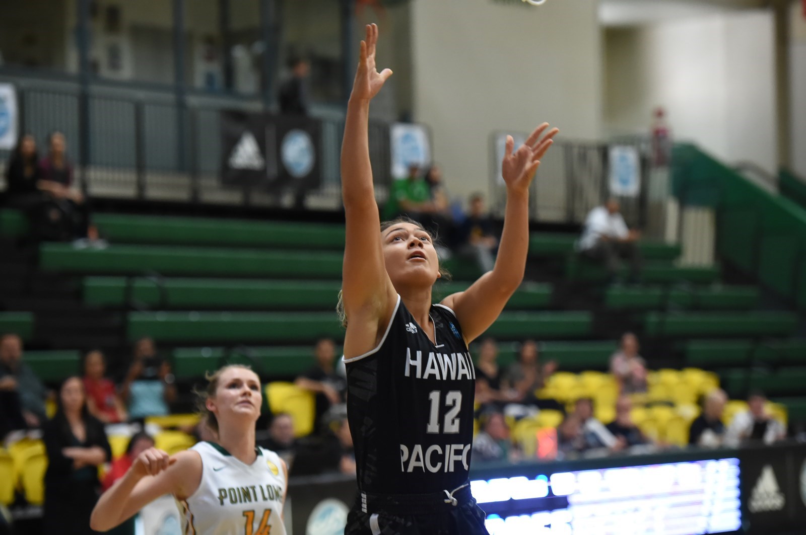 Gabriella Fotu 201718 Women's Basketball Hawaii Pacific