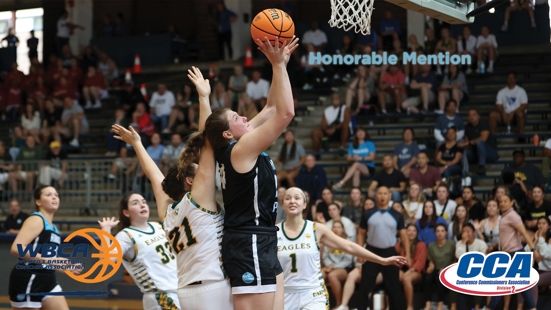 Abby Spurgin 202223 Women's Basketball Hawaii Pacific University