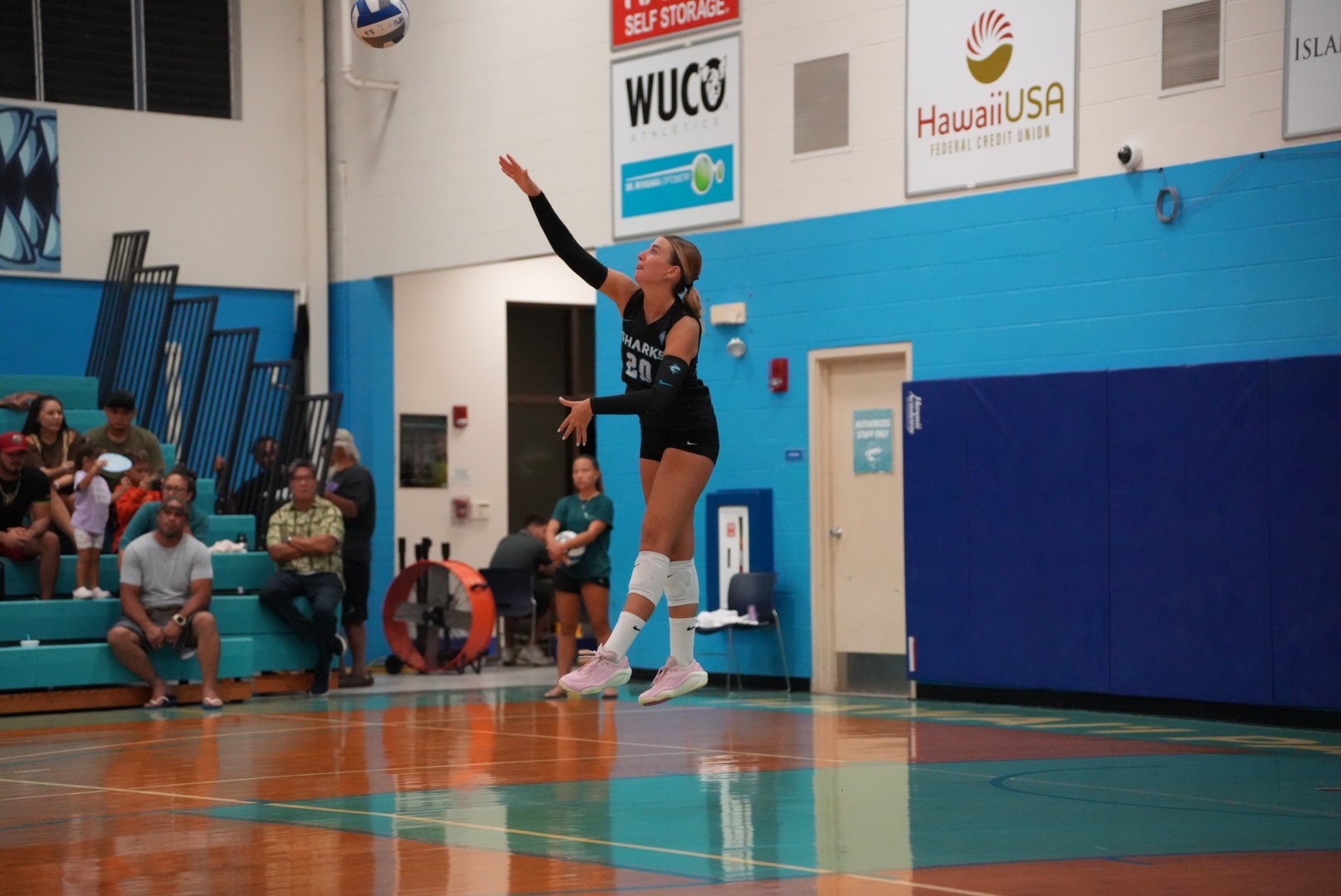 wvb