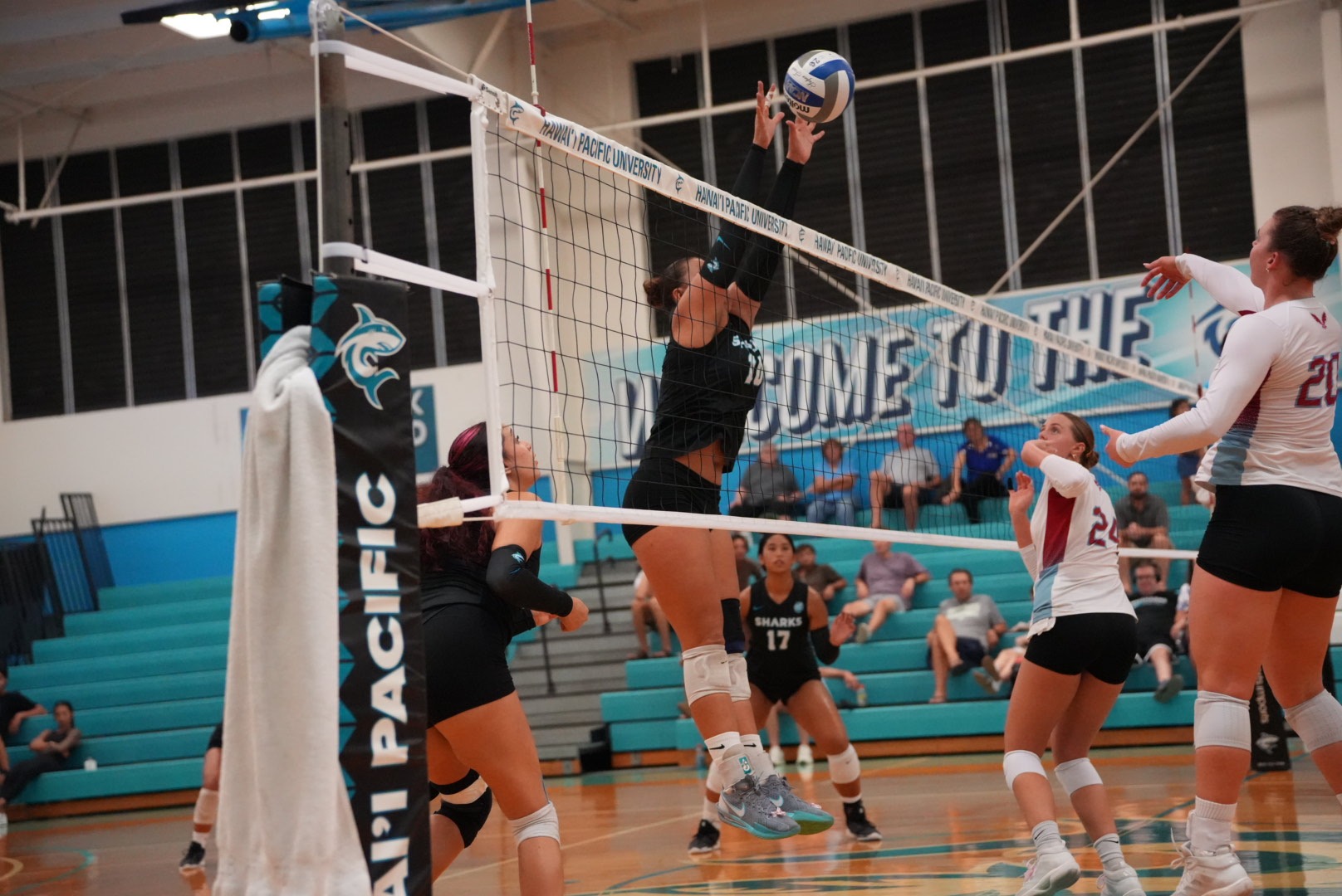wvb
