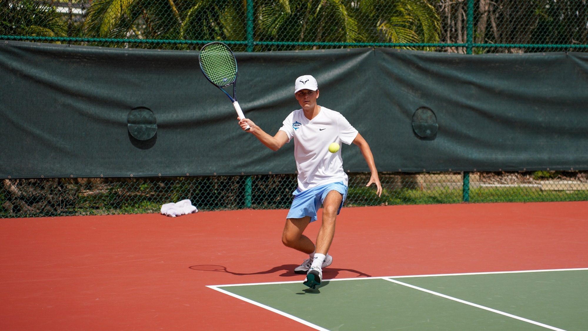 Men's Tennis in Action