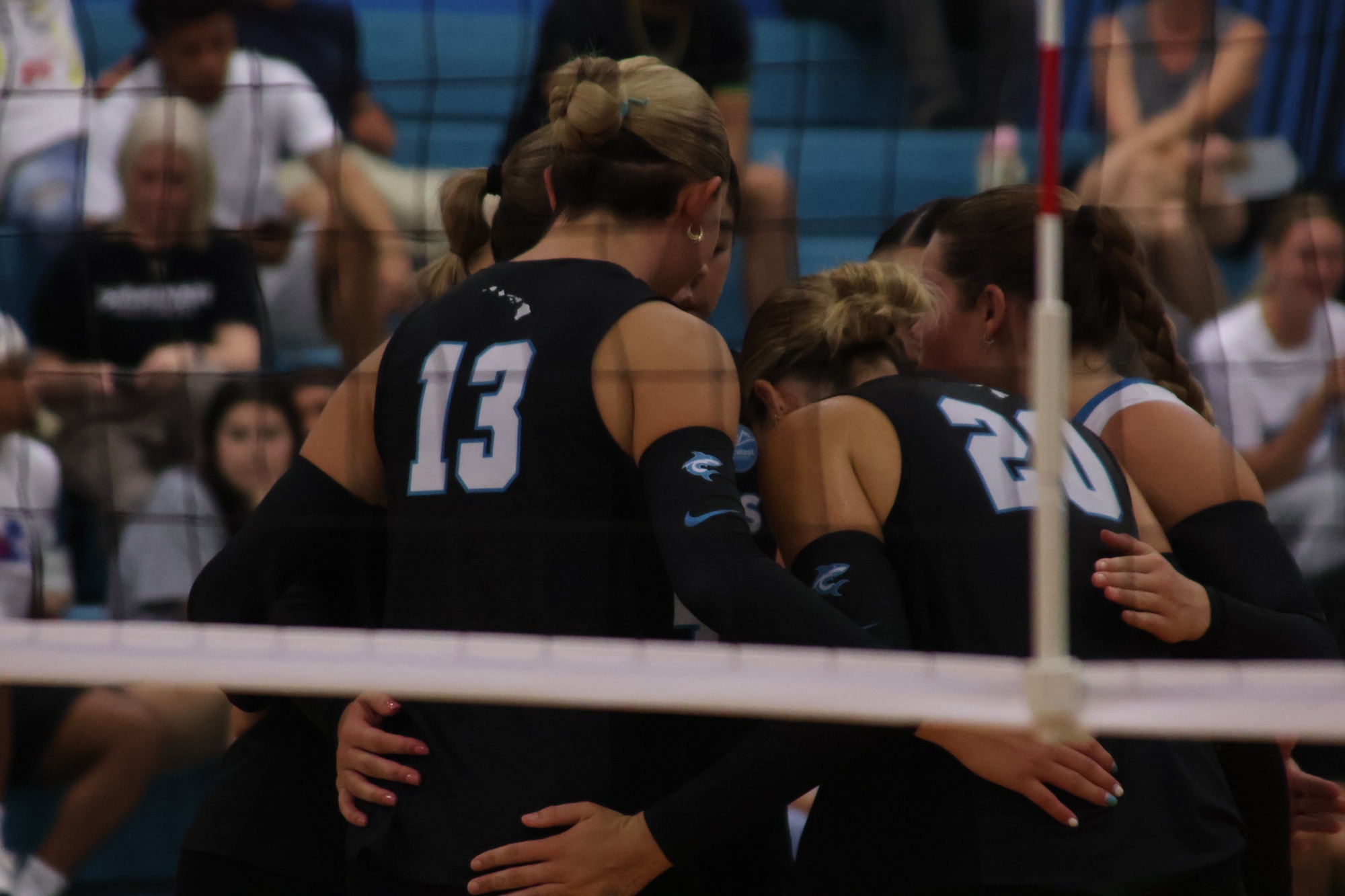 WVb