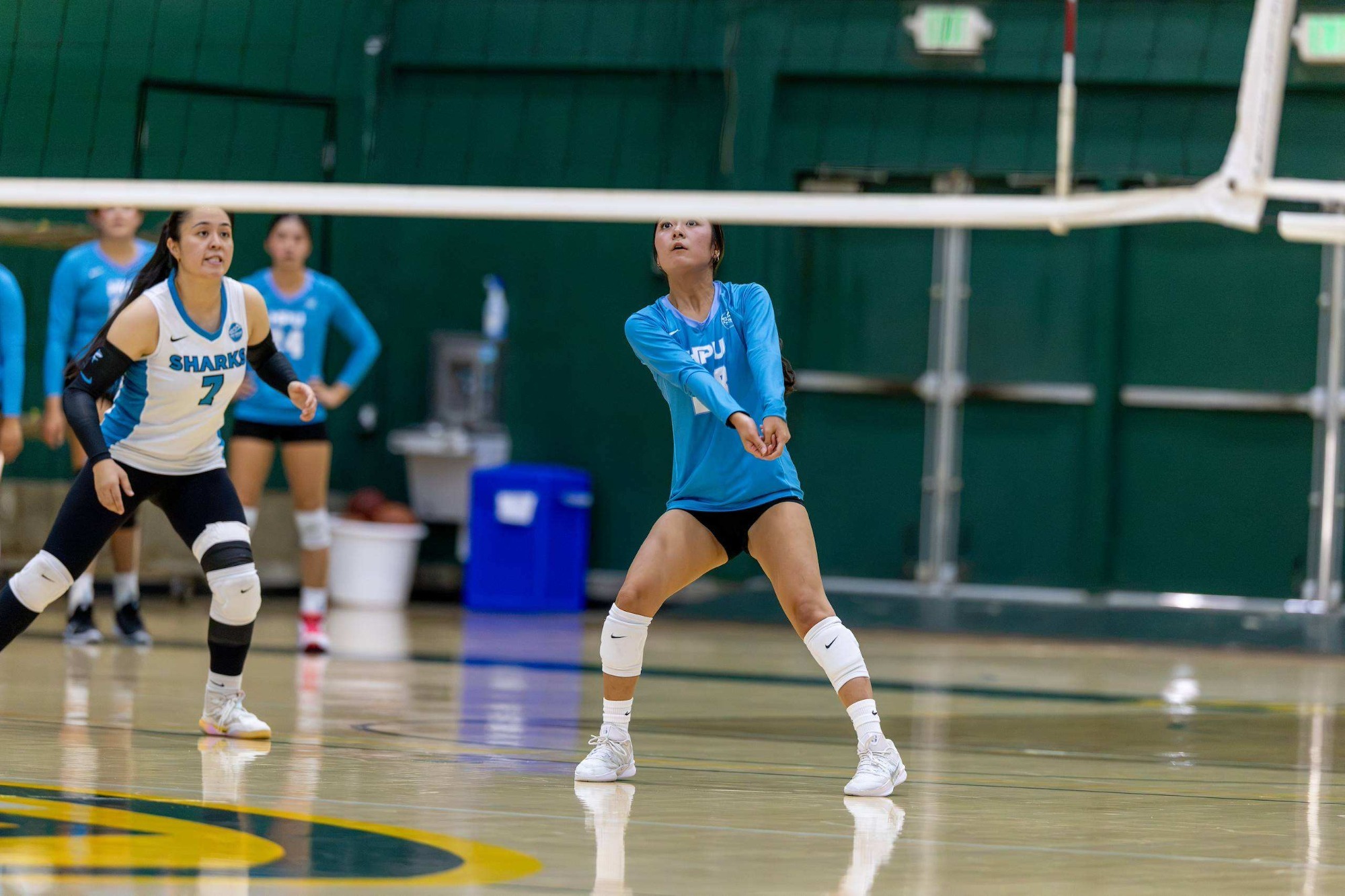 wvb