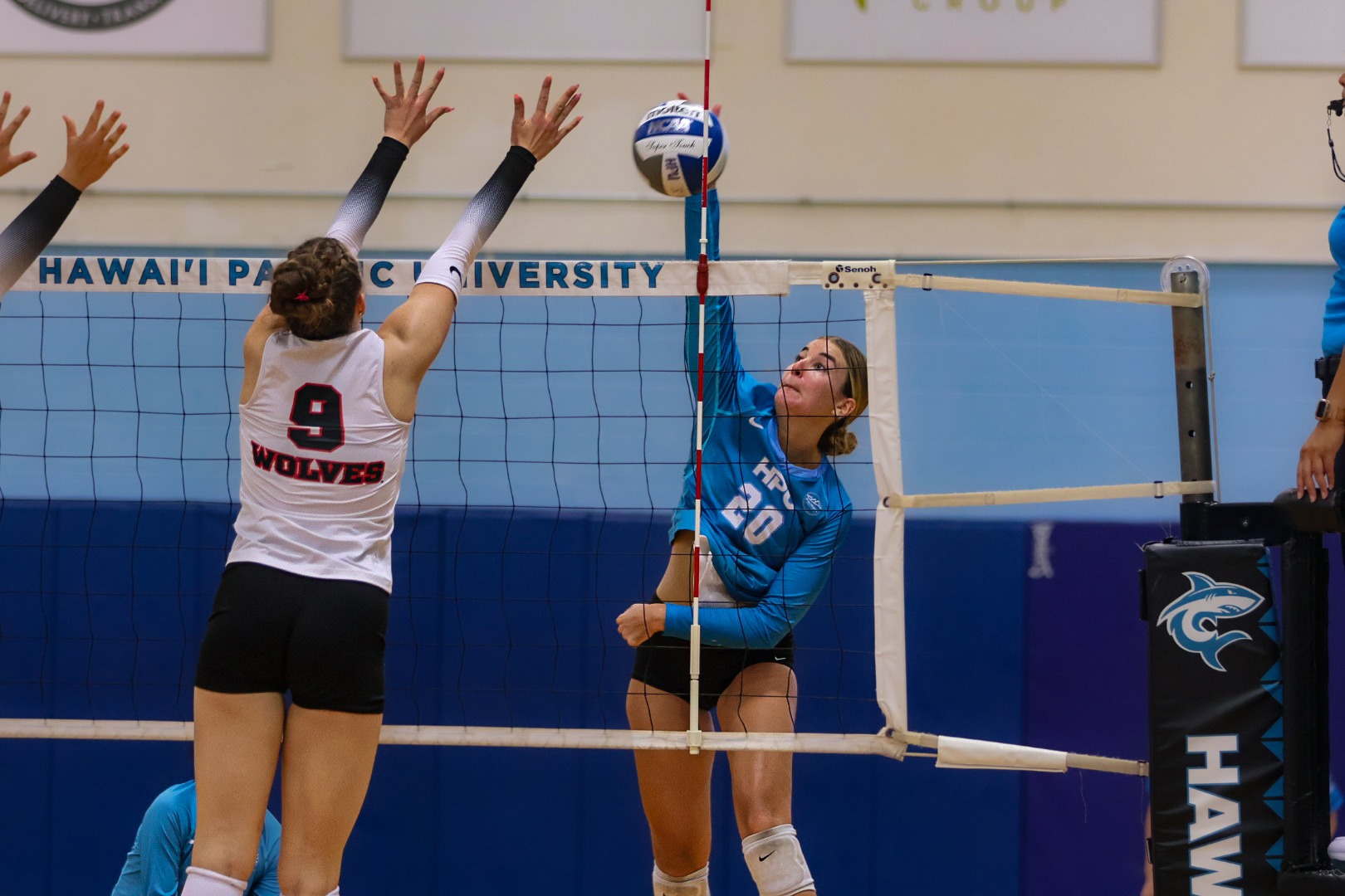 SC Volleyball