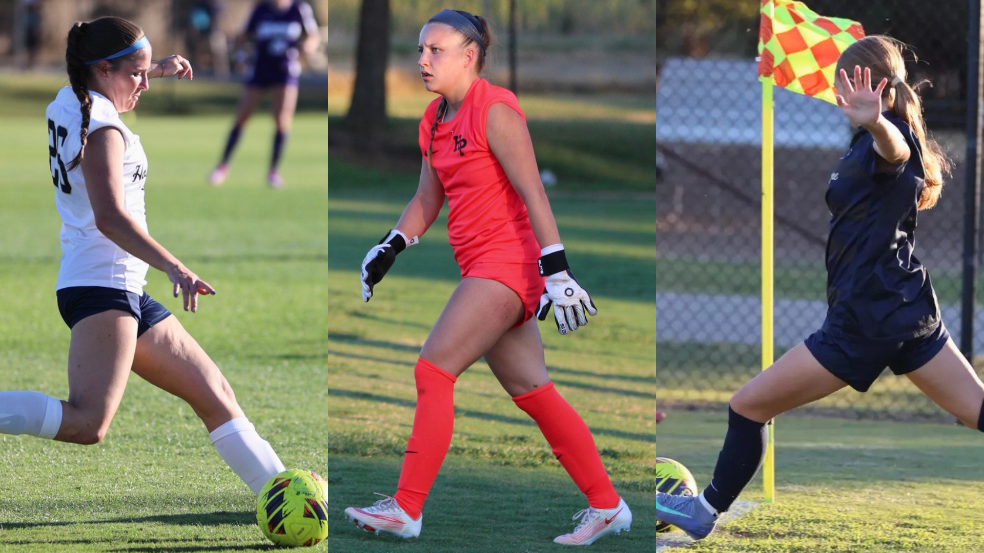 WSOC PTW Release