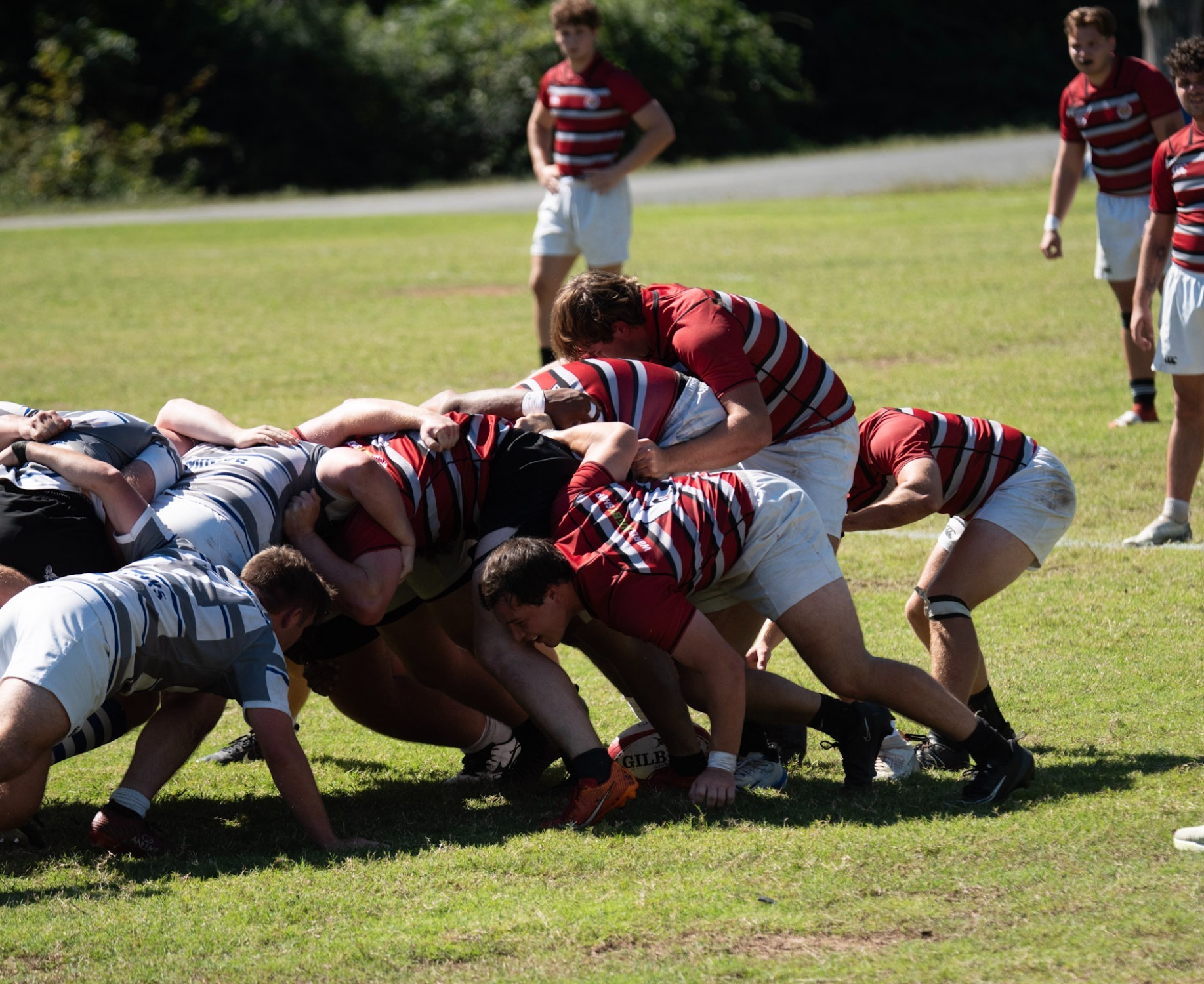 H-SC Rugby