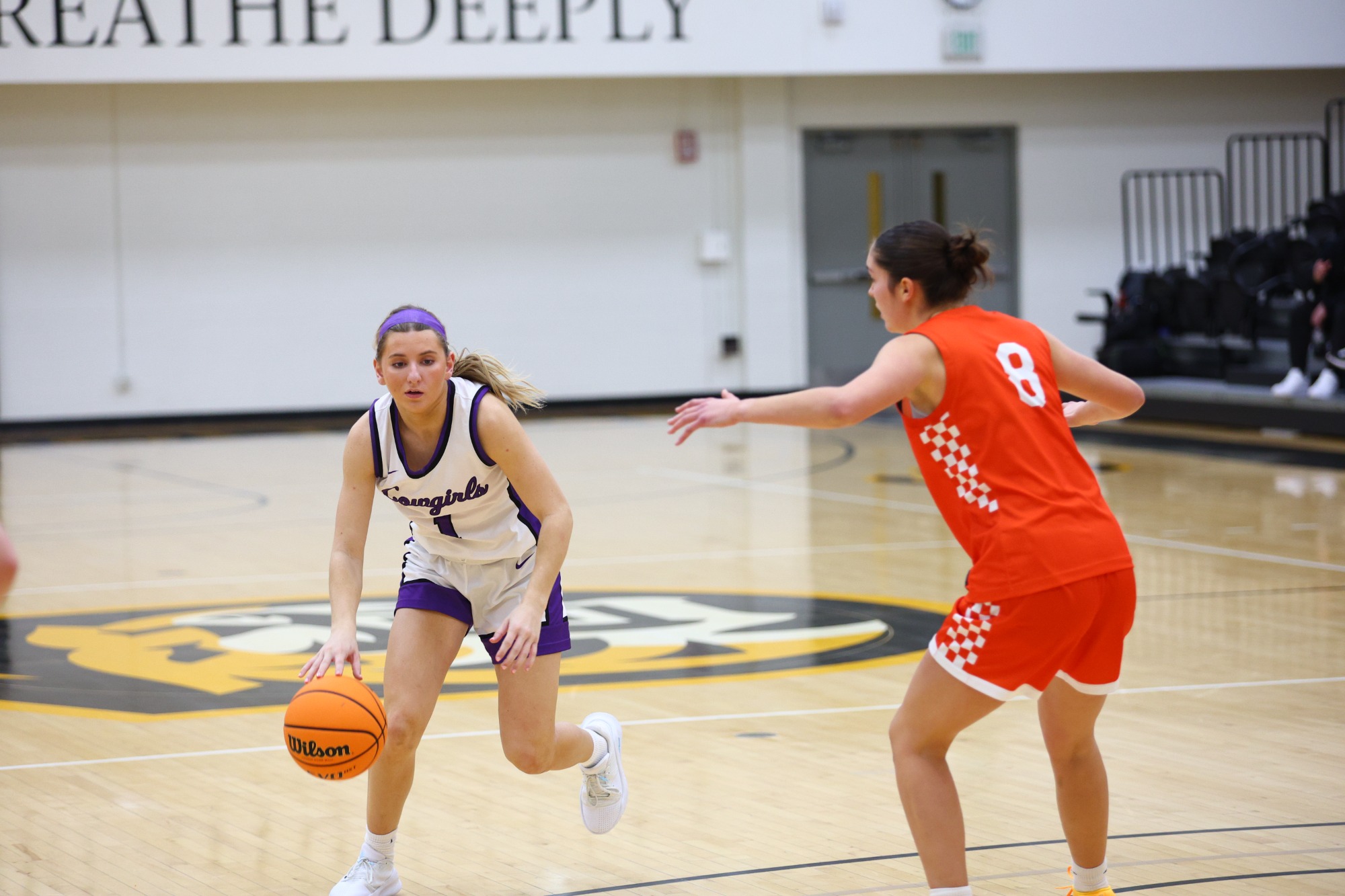 Women's Basketball: Hardin-Simmons University Cowboys vs. Wartburg College Knights