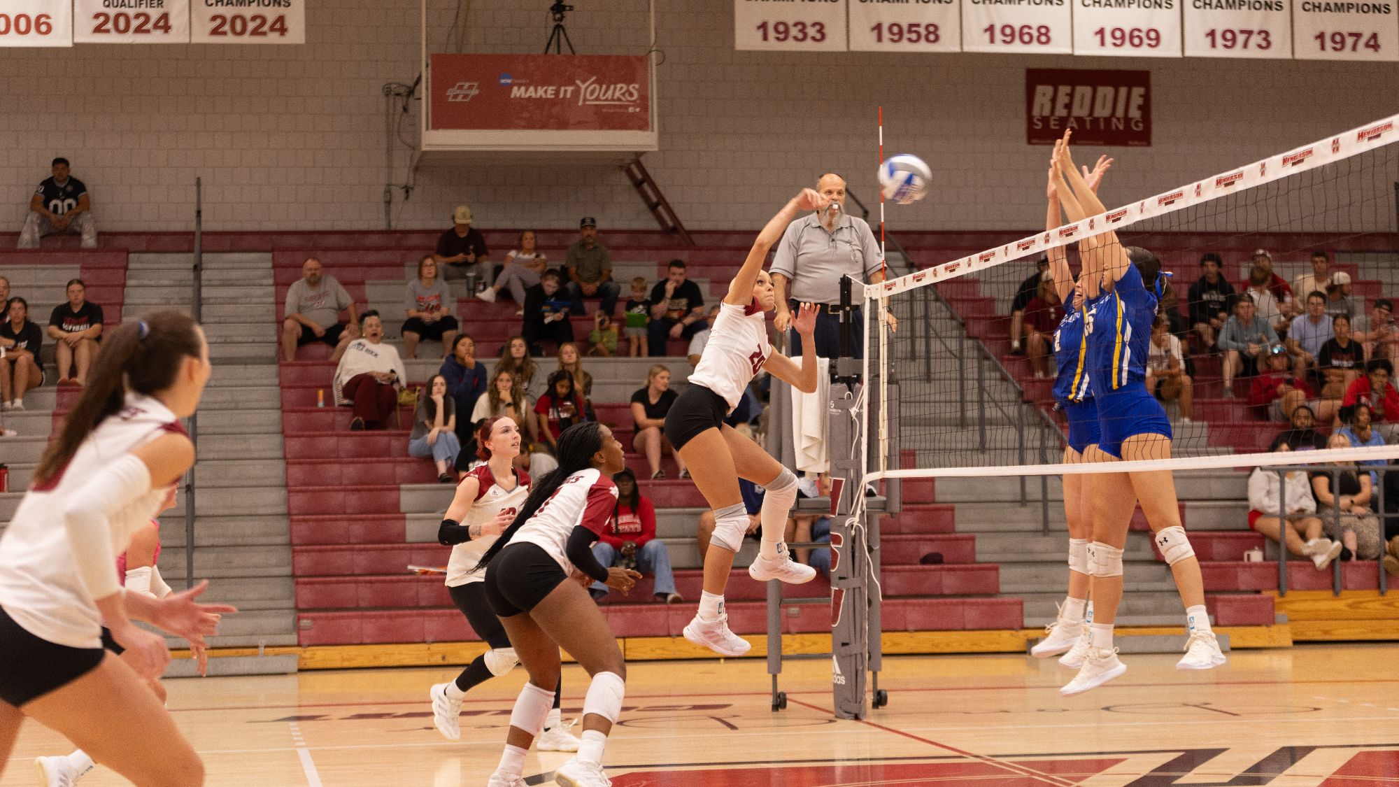 VB Fall Preview
