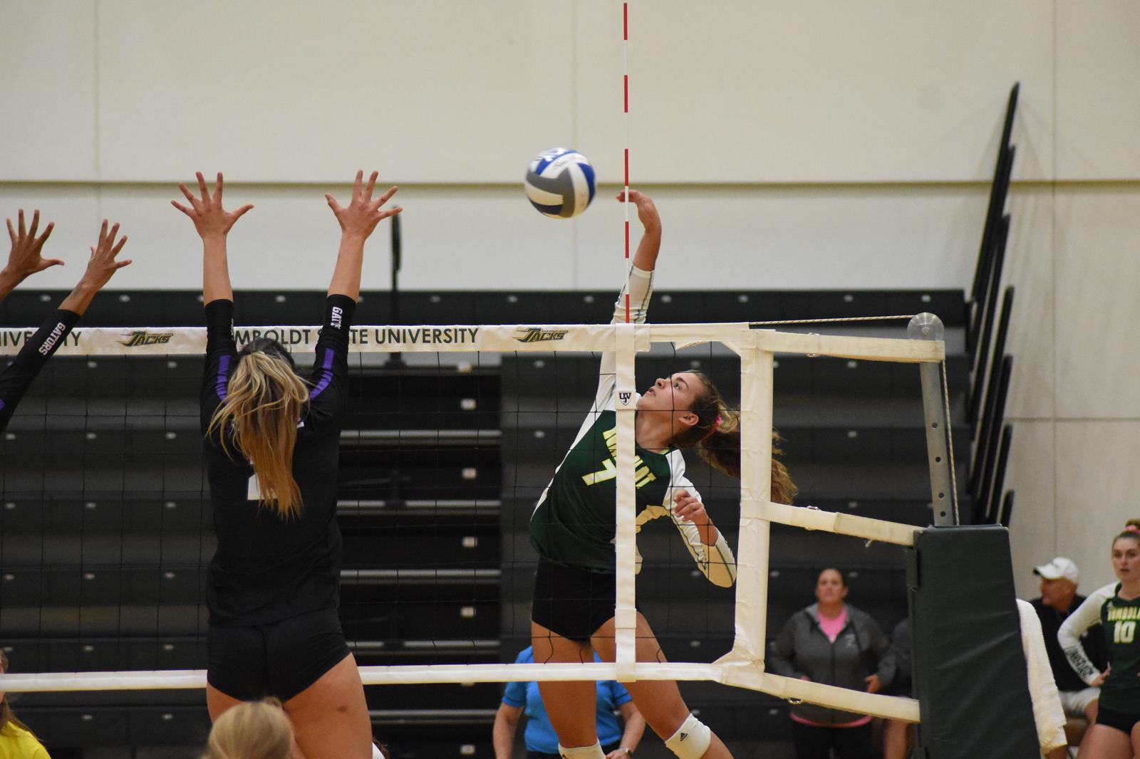 Lenox Loving Volleyball Cal Poly Humboldt Athletics