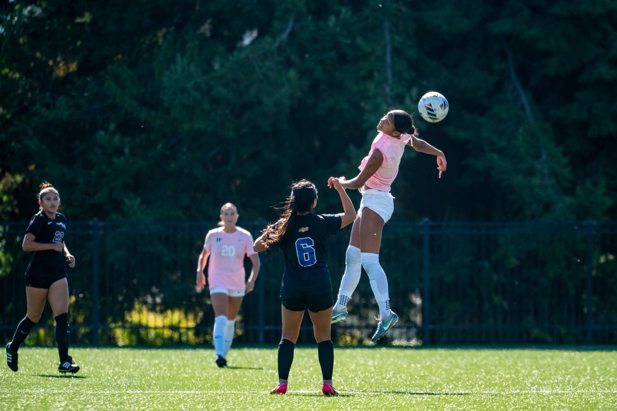 sari murphy pink day 2026 wsoc