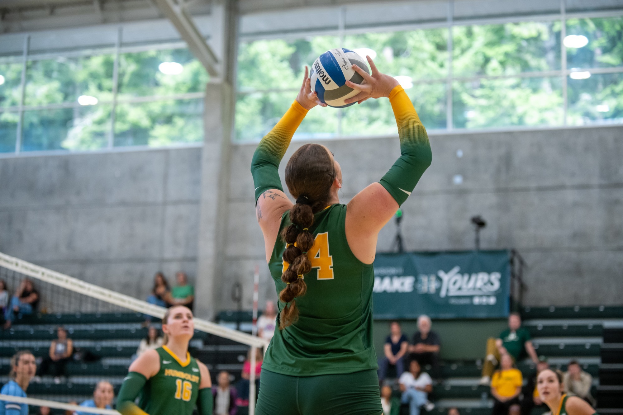 avary spoja wvb 2026