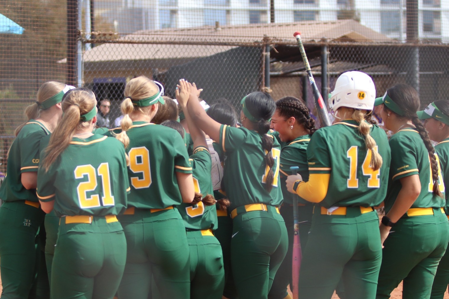 Softball celebration 2026