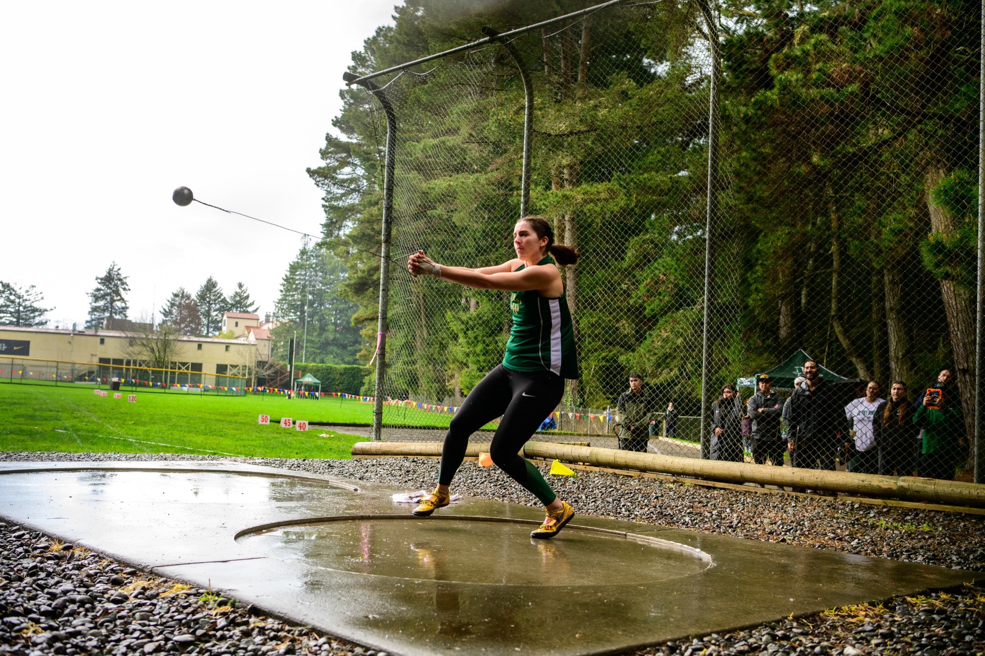 women's hammer, green and gold