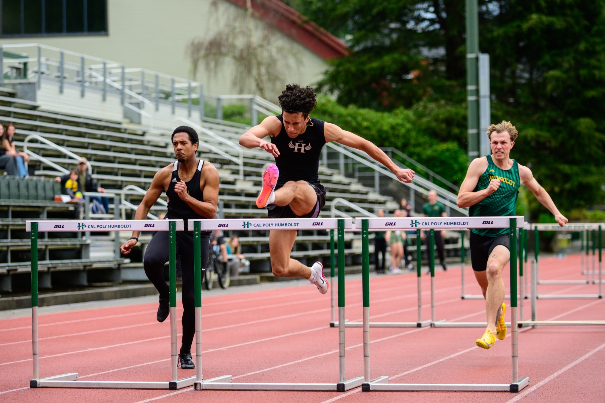 hurdles, green & gold