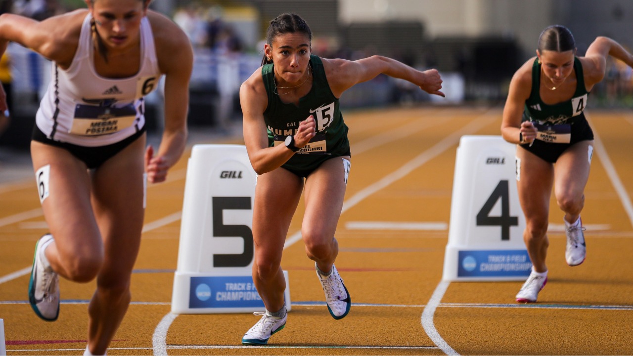 Isabel Perez-Zoghbi
