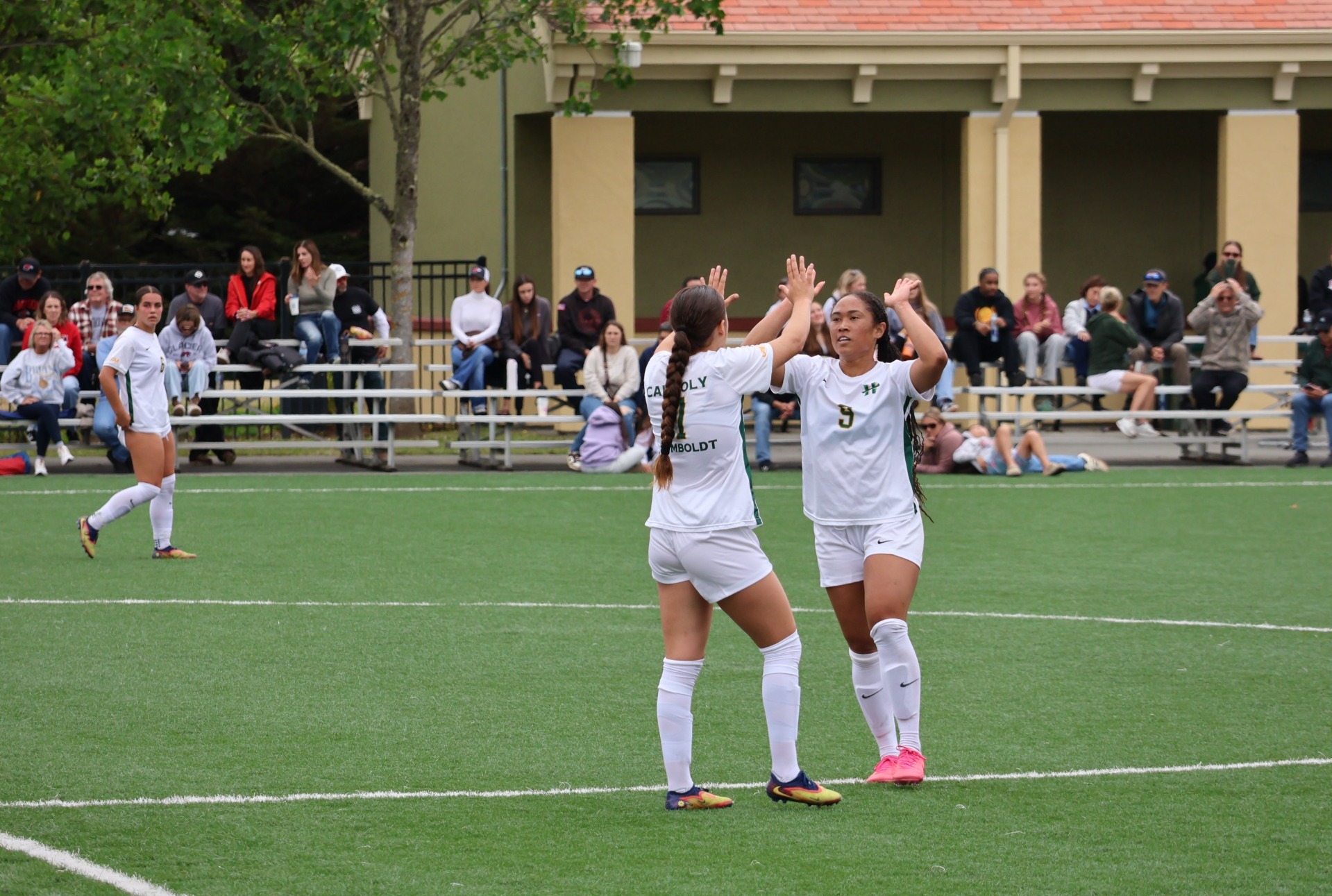 WSOC - 8/15/26