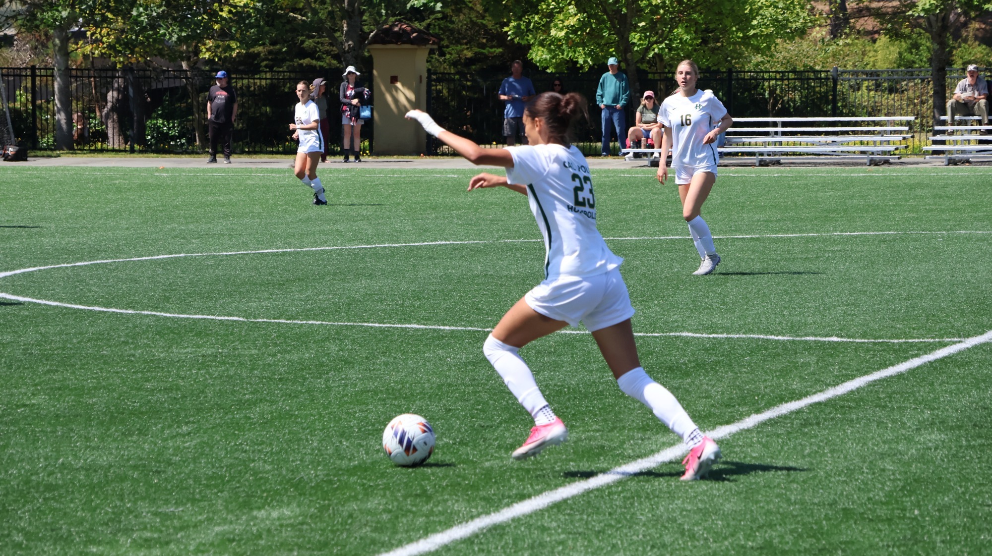 wsoc natalie wenner