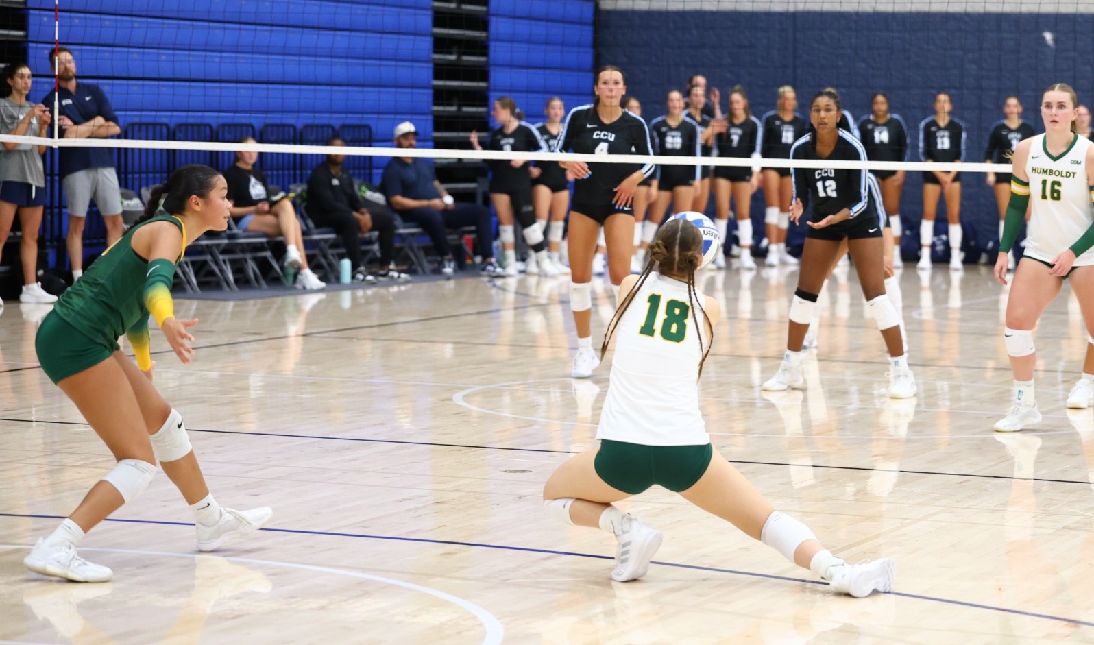 fenstermacher wvb 