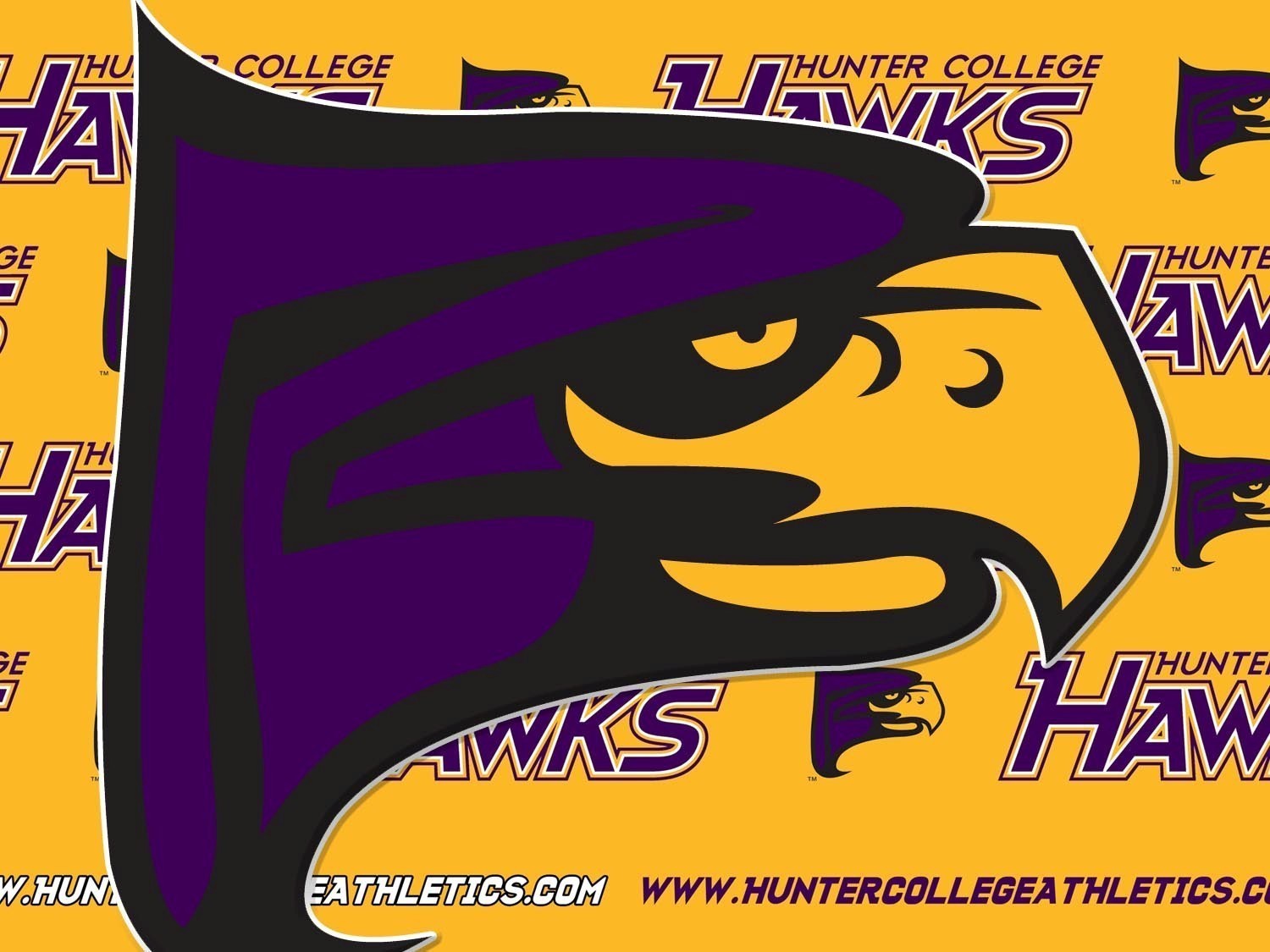 Hunter Hawk