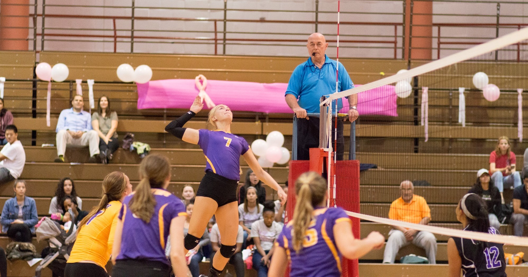 Women's Volleyball Sweeps Competition at CUNYAC TriMatch Hunter