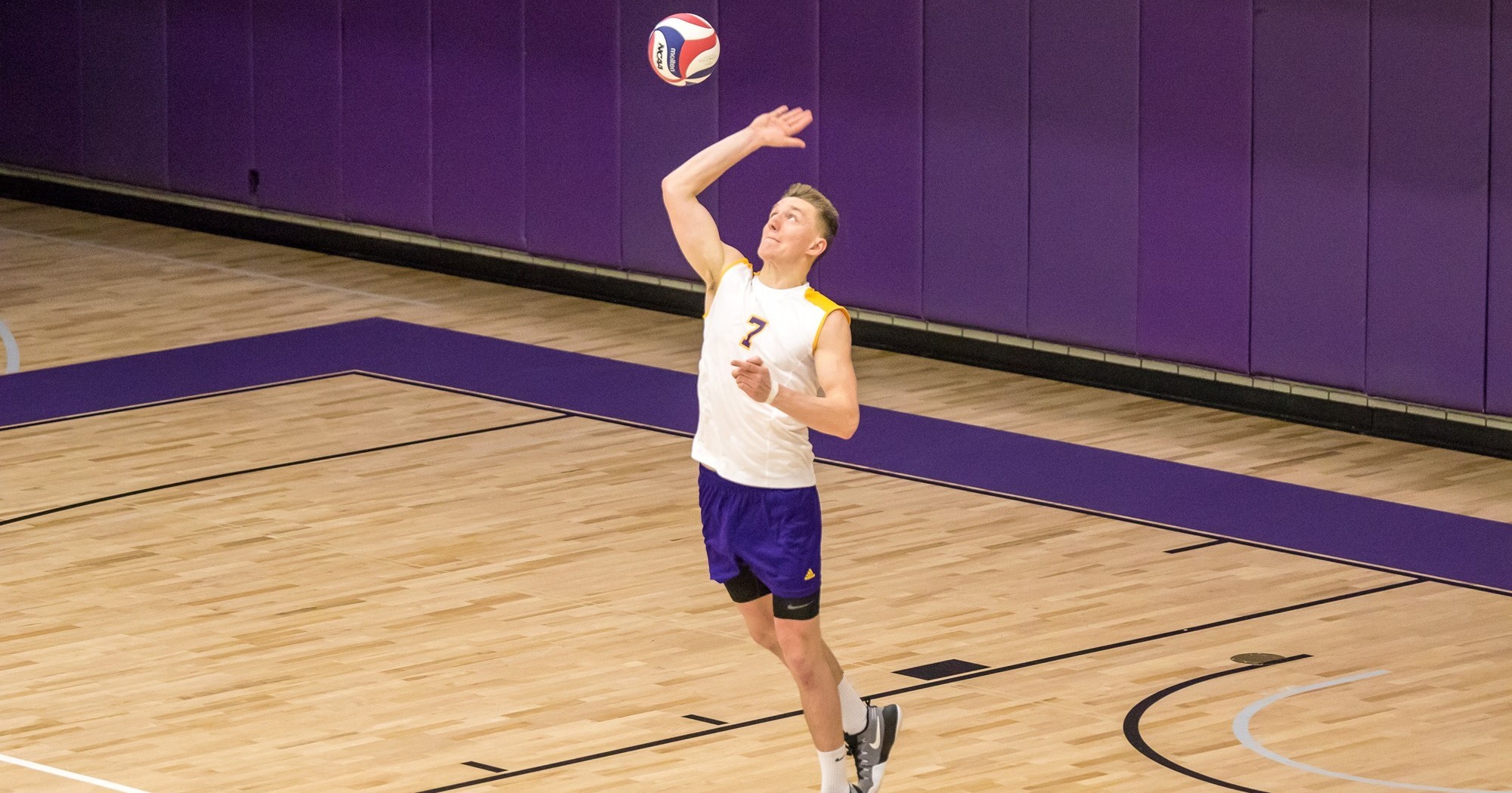Mens Volleyball Goes 20 at St. Joseph's Long Island Hunter College