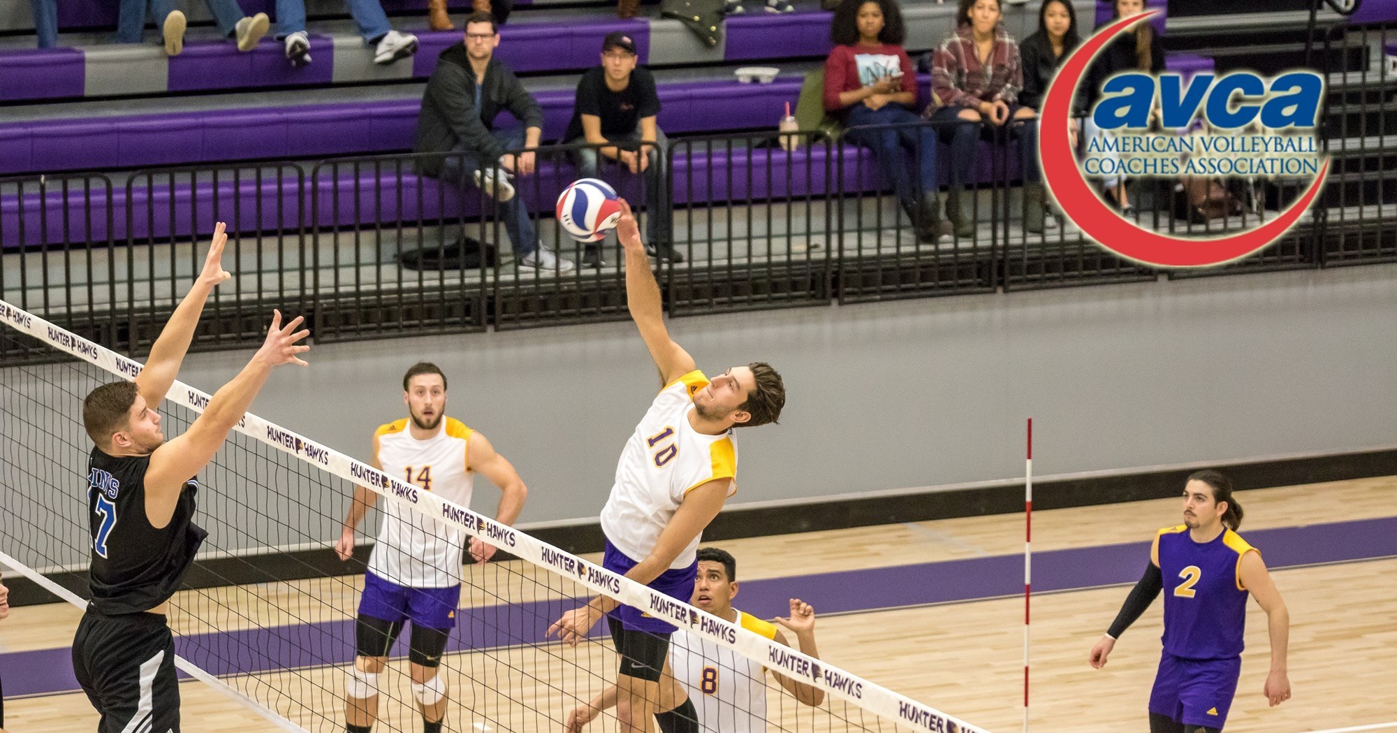 Tarquinio Named AVCA Division III AllAmerican Hunter College Athletics