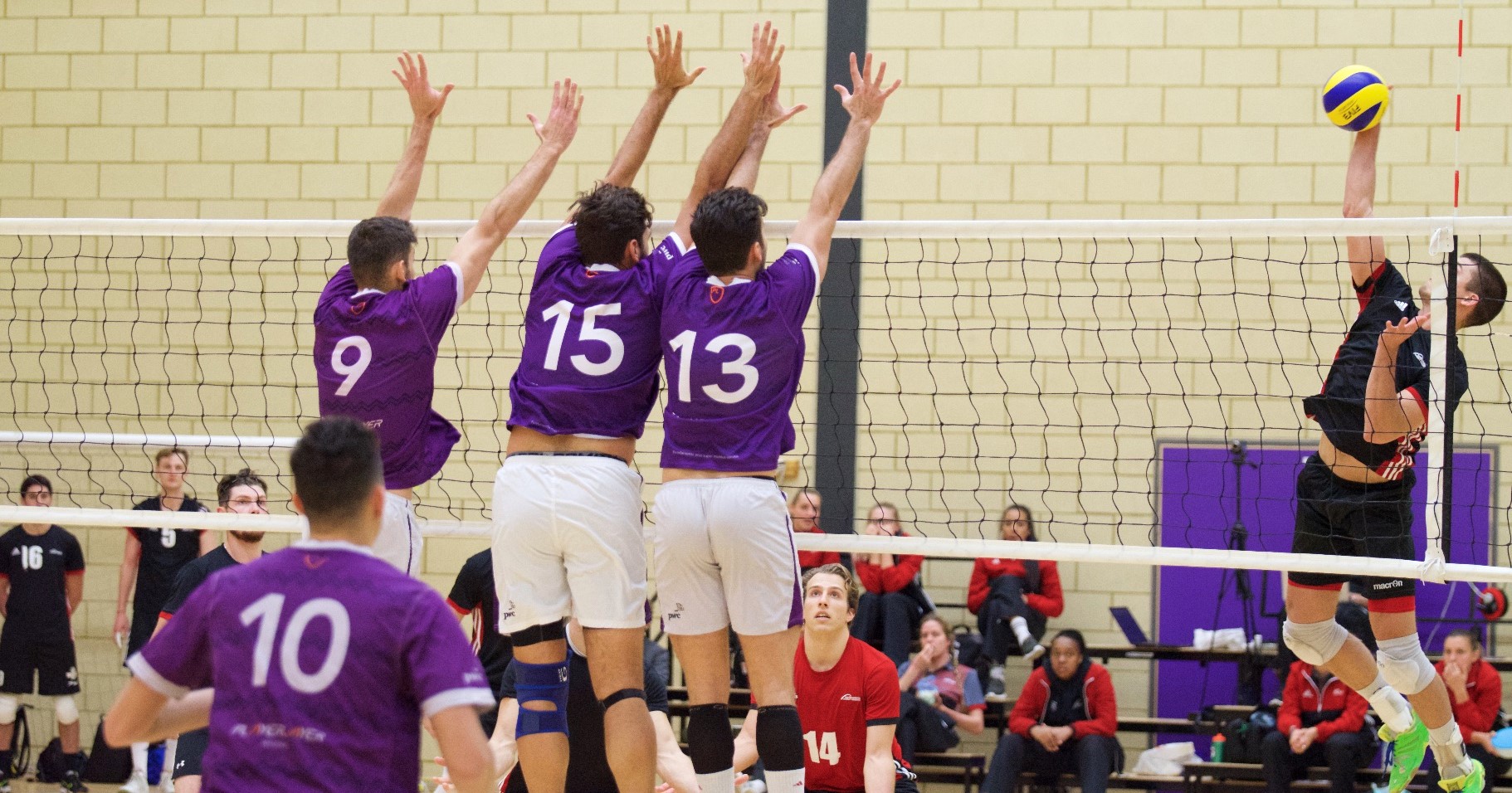 Former Men’s Volleyball AllAmerican Steven Tarquinio Finishes Year in