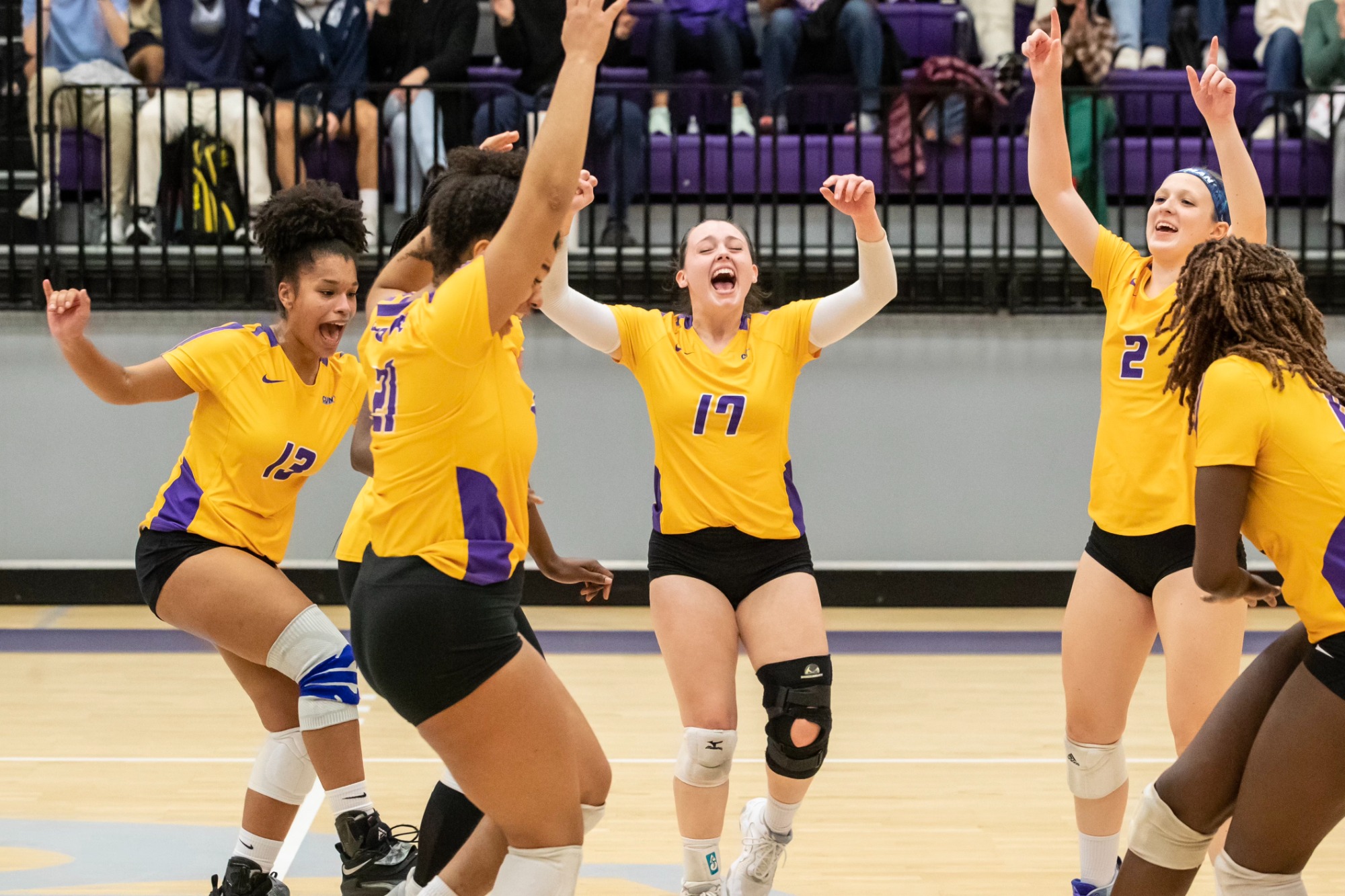 Volleyball Falls in First Round of NCAA Tournament Hunter College