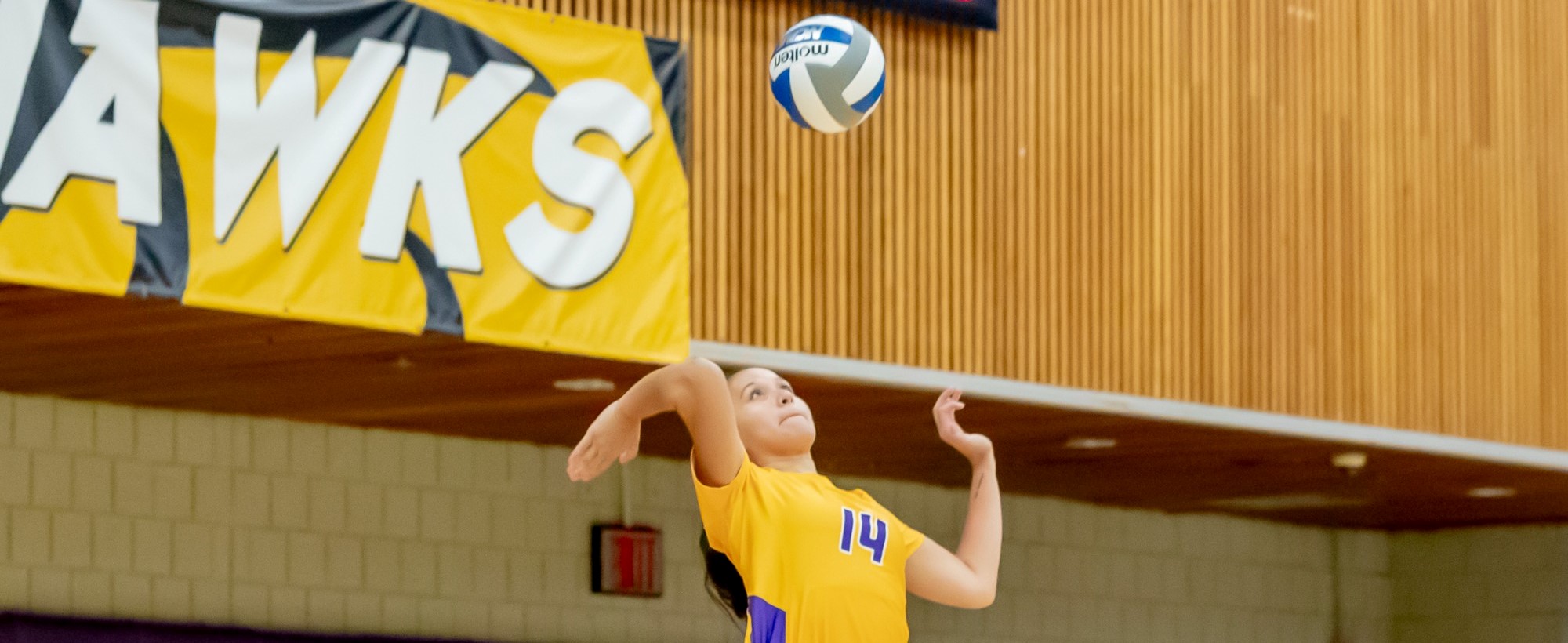 Ariana Silva 2022 Women's Volleyball Hunter College Athletics