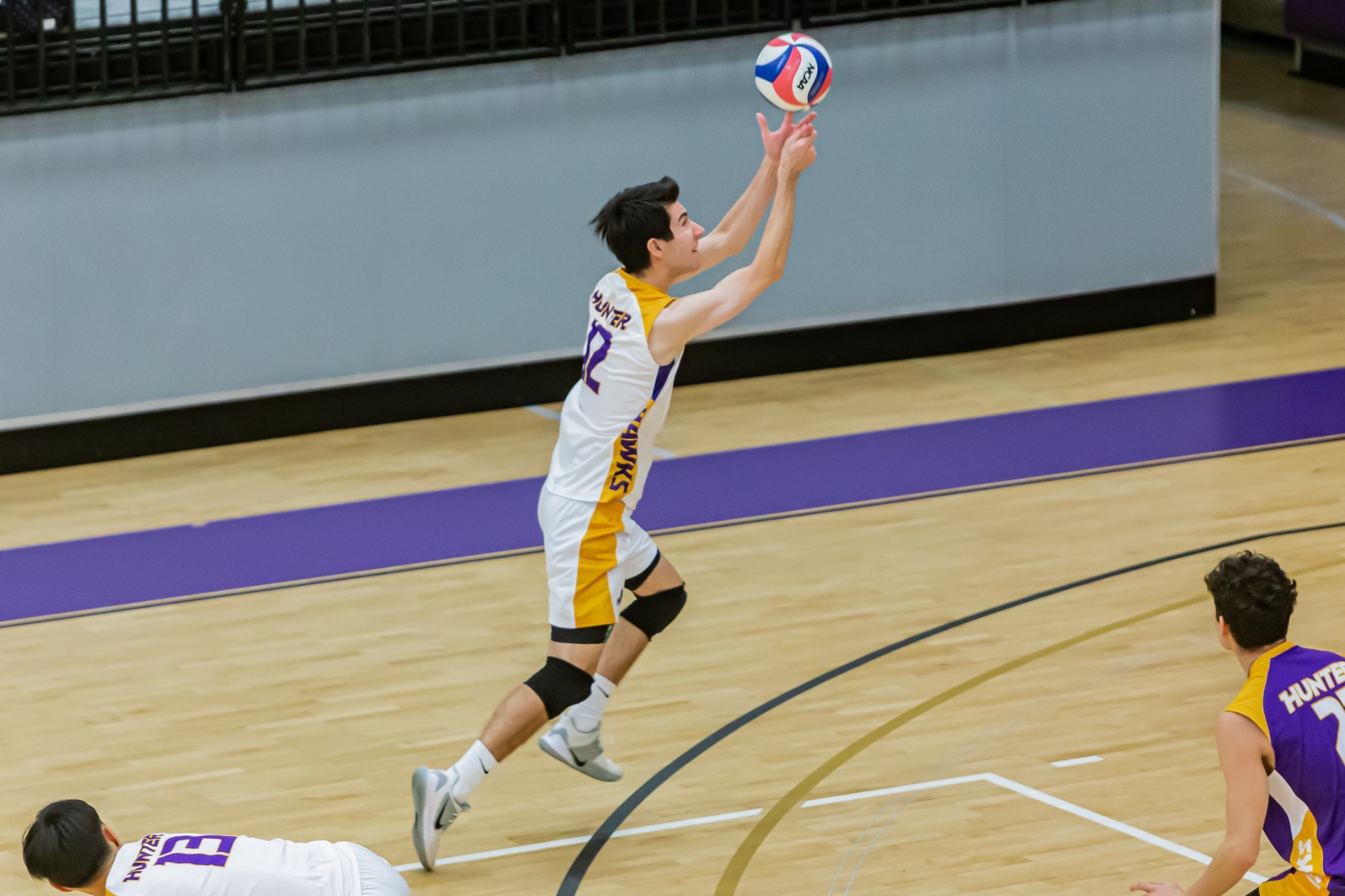 Hunter Moran 2023 Men's Volleyball Hunter College Athletics