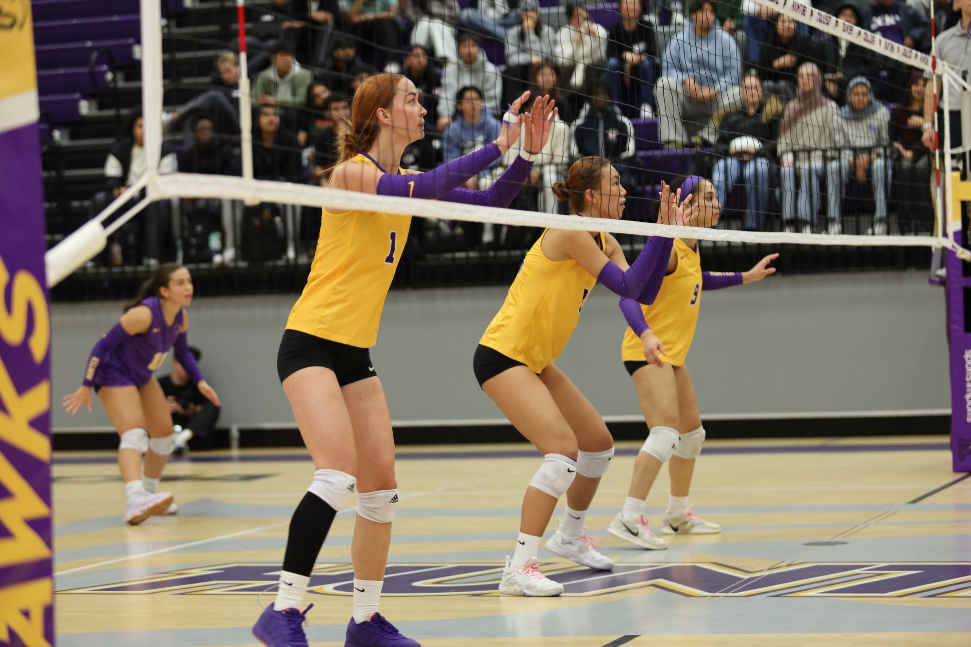 Madeline Snyder Michelle Liu