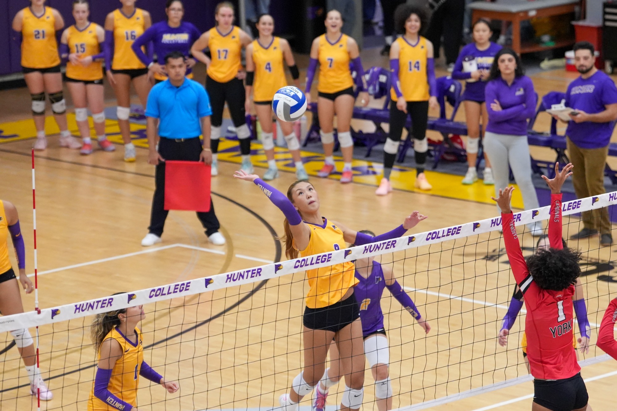 Michelle Liu competes for Hunter women's volleyball.