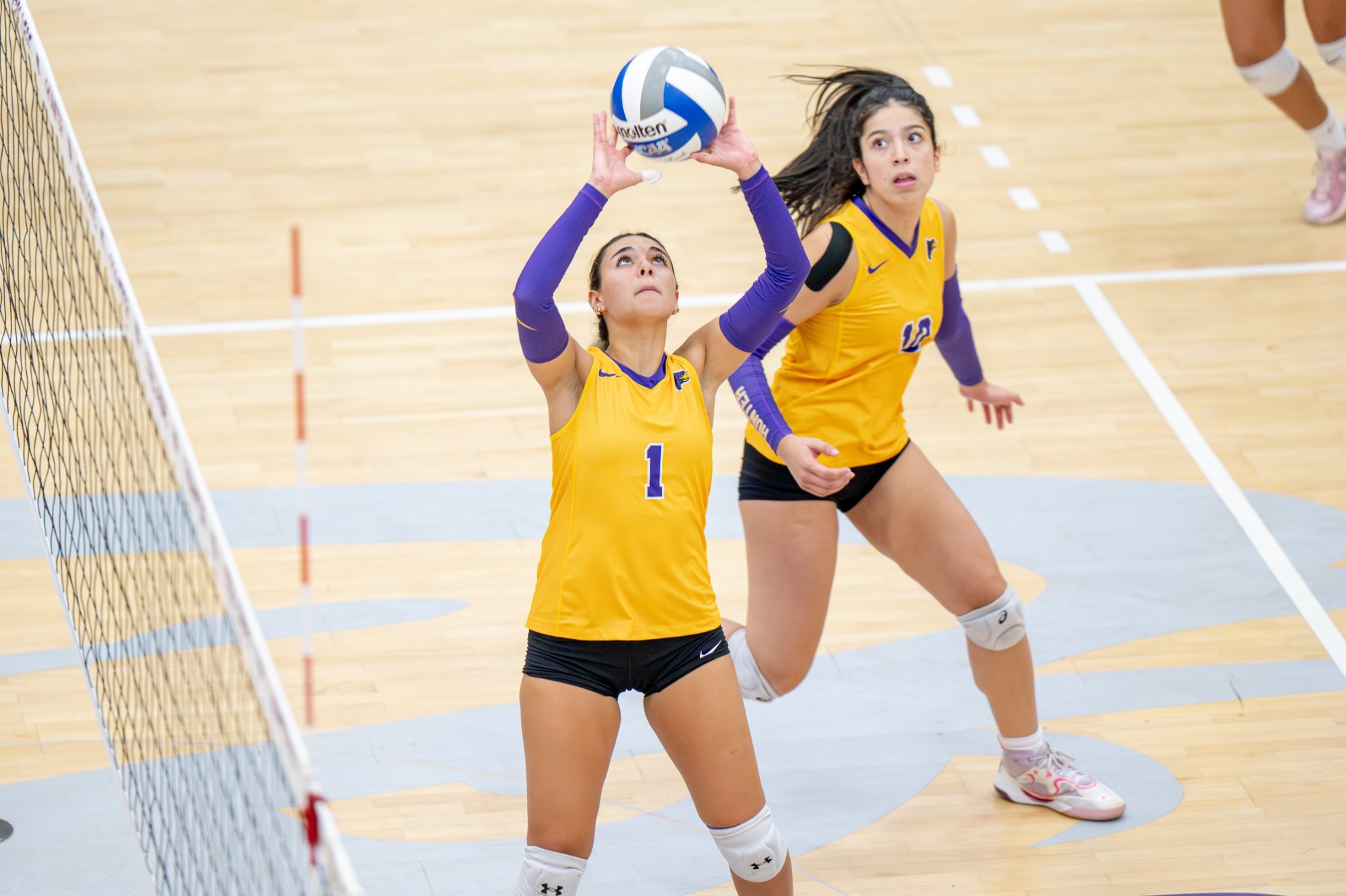 Sofia Marolla competes for Hunter women's volleyball