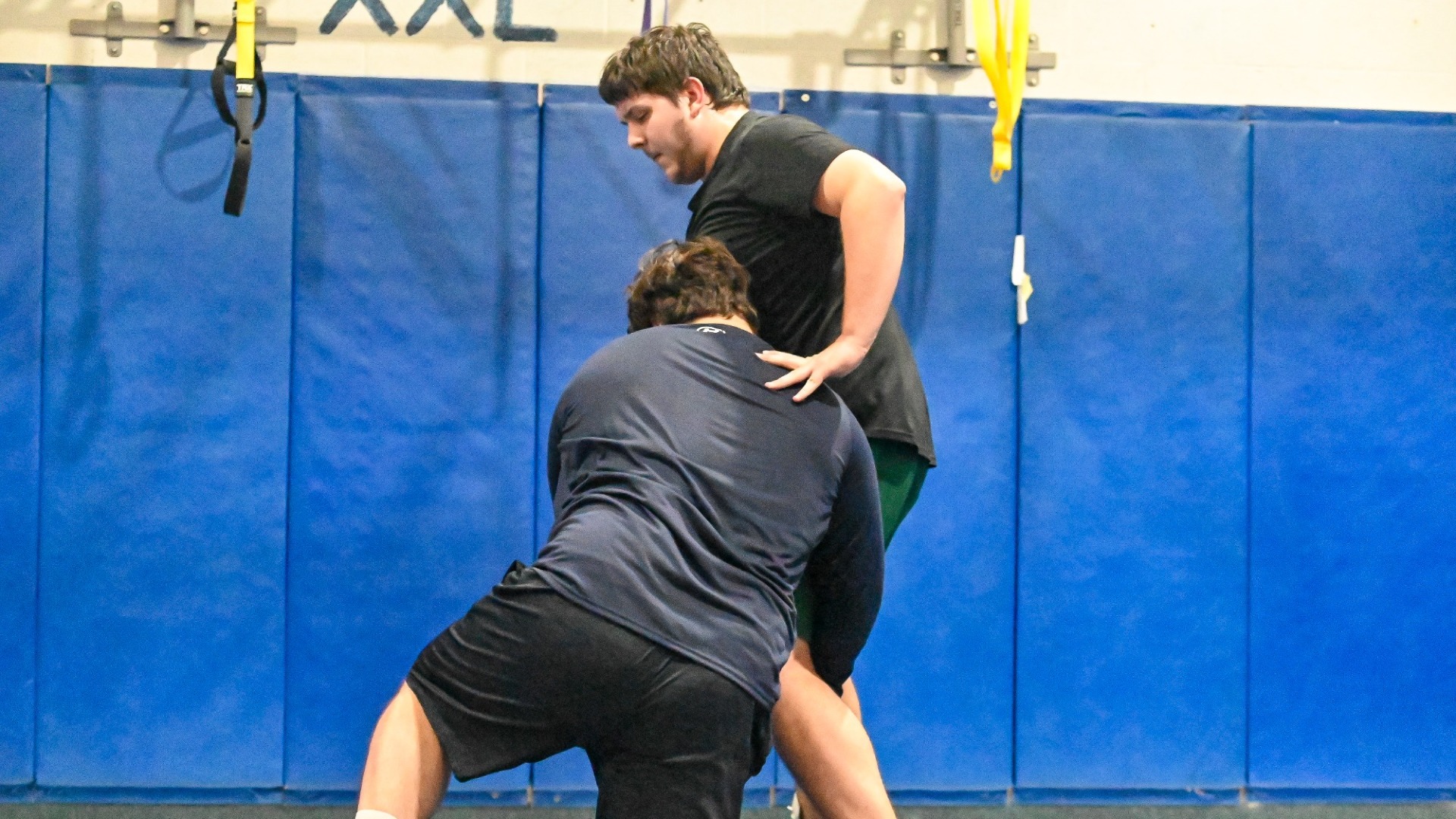 Wrestling Heavyweights