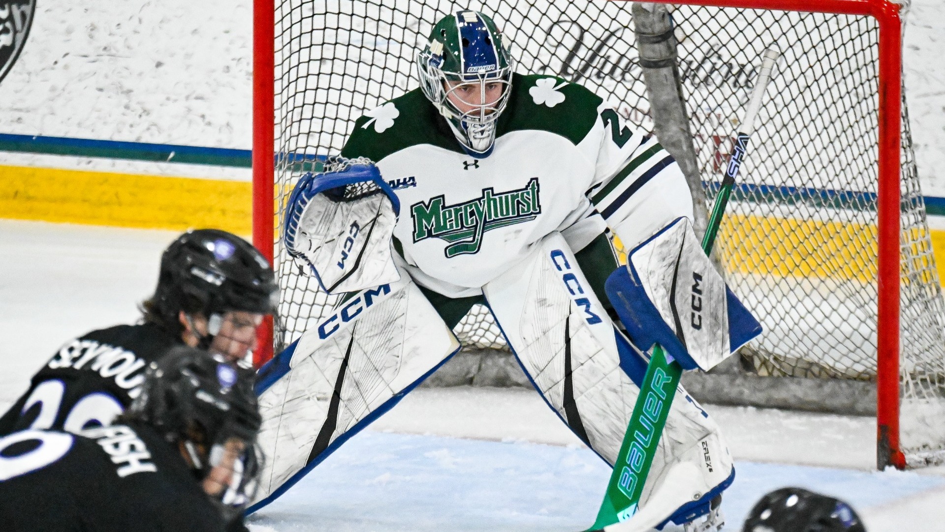 charlesedwardgravelaction