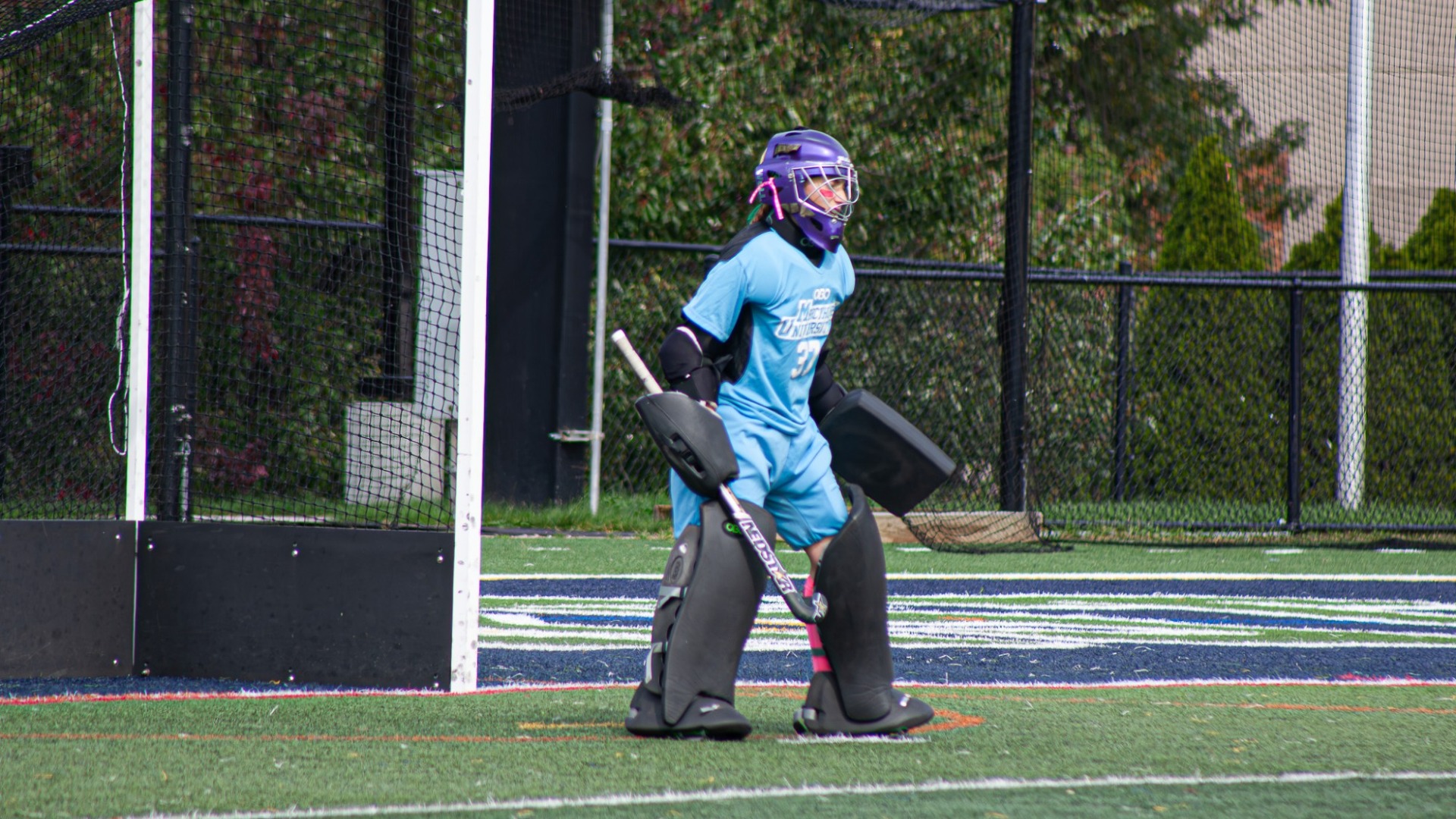 fhgoalie