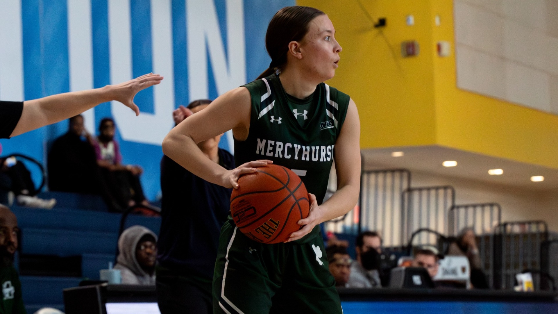 Jenna drops 17 at LIU
