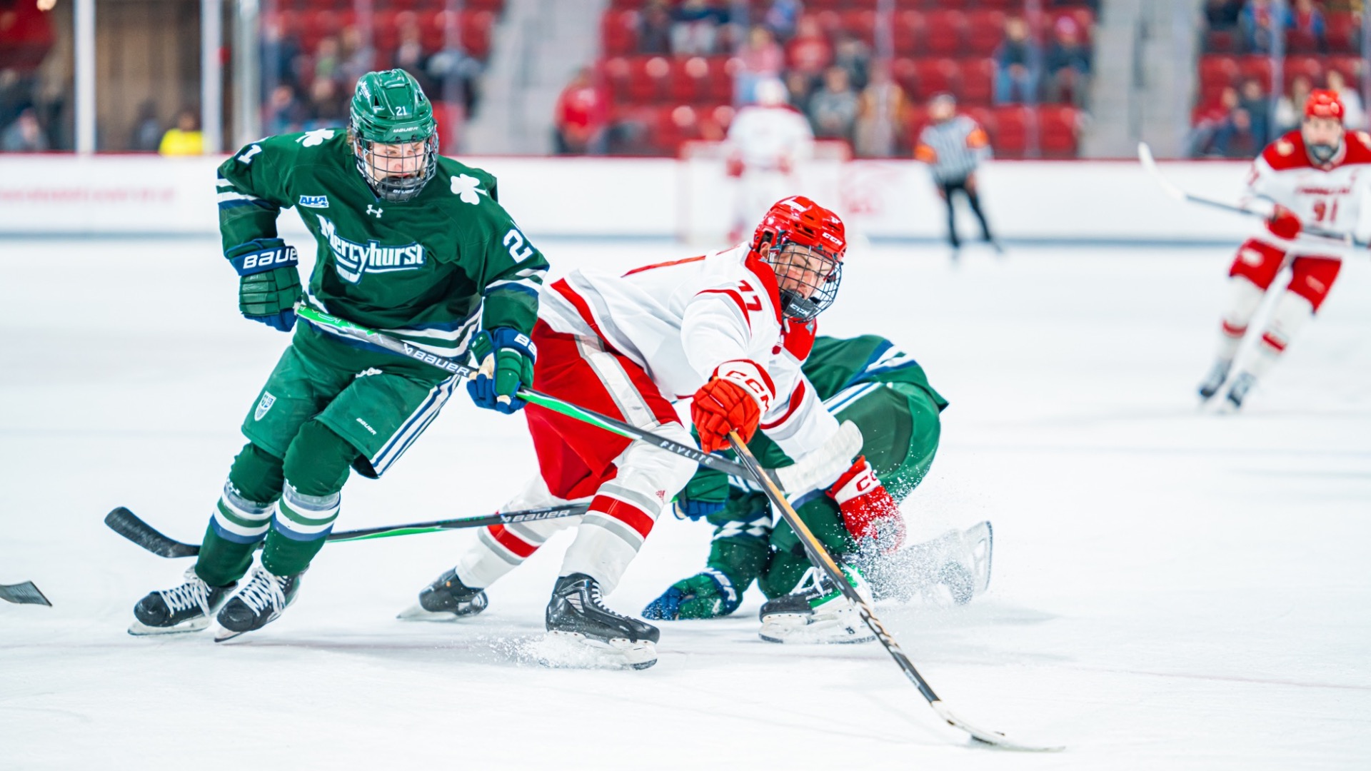 Will Schumacher at Sacred Heart