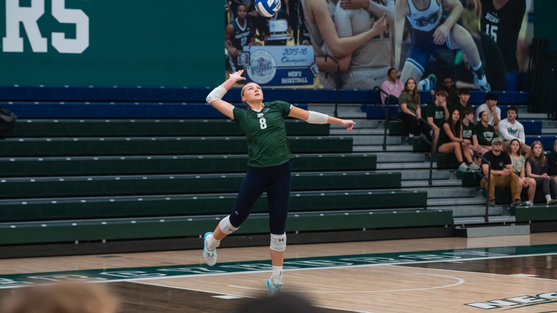 Maddy Miner VB